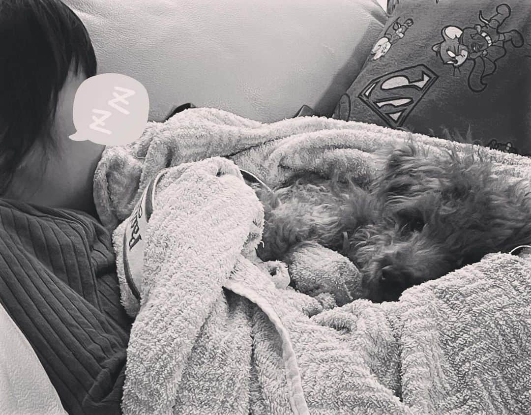 安藤幸代のインスタグラム：「娘っ子が昨日の夜から発熱。 予防接種していても、いよいようちもインフル来たかー💦と思ったら、溶連菌でした🌀 学校で色々流行ってますから、予防しても気をつけていてもなる時はなりますね😓  病院から戻ってソファでうとうとの娘っ子の横で心配そうに添い寝の優しいわんこ🐶  静かな土曜日の午後。 私は読みたかった本でも読むかな☕️  #土曜の午後の昼下がり #早く治るといいね #大人にうつりませんよーに🙏」