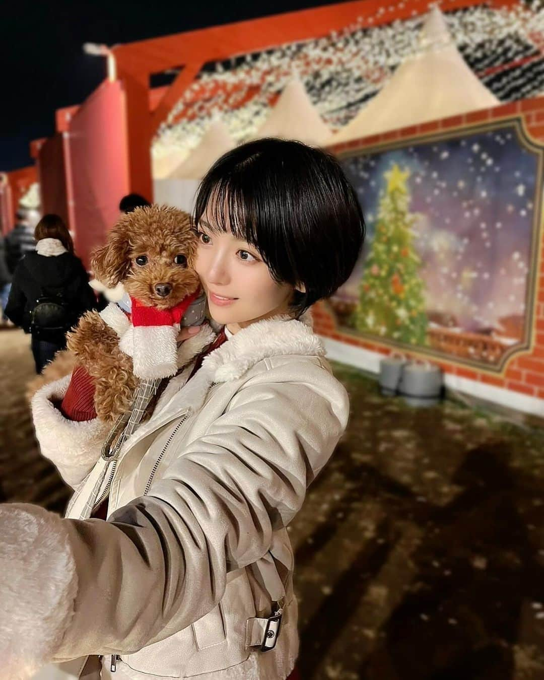 佐々木萌香さんのインスタグラム写真 - (佐々木萌香Instagram)「.  フィちゃまとラブラブだったとき 横から写真撮ってくれてた🧸📷  横浜のクリスマスマーケットに今年も行きました 去年は1人で行ったけど 今年はお友達と行けて楽しめました🎄🎅🏻  クリスマスの時期の 街のきらきら感が好きです🎄🏭⭐︎  .  #佐々木萌香 #クリスマス #クリスマスマーケット #横浜 #横浜赤レンガ倉庫  #赤レンガ倉庫  #トイプードル #犬連れ登山  #犬とおでかけ #christmas  #yokohama  #toypoodle」12月10日 1時27分 - moeka_sasaki