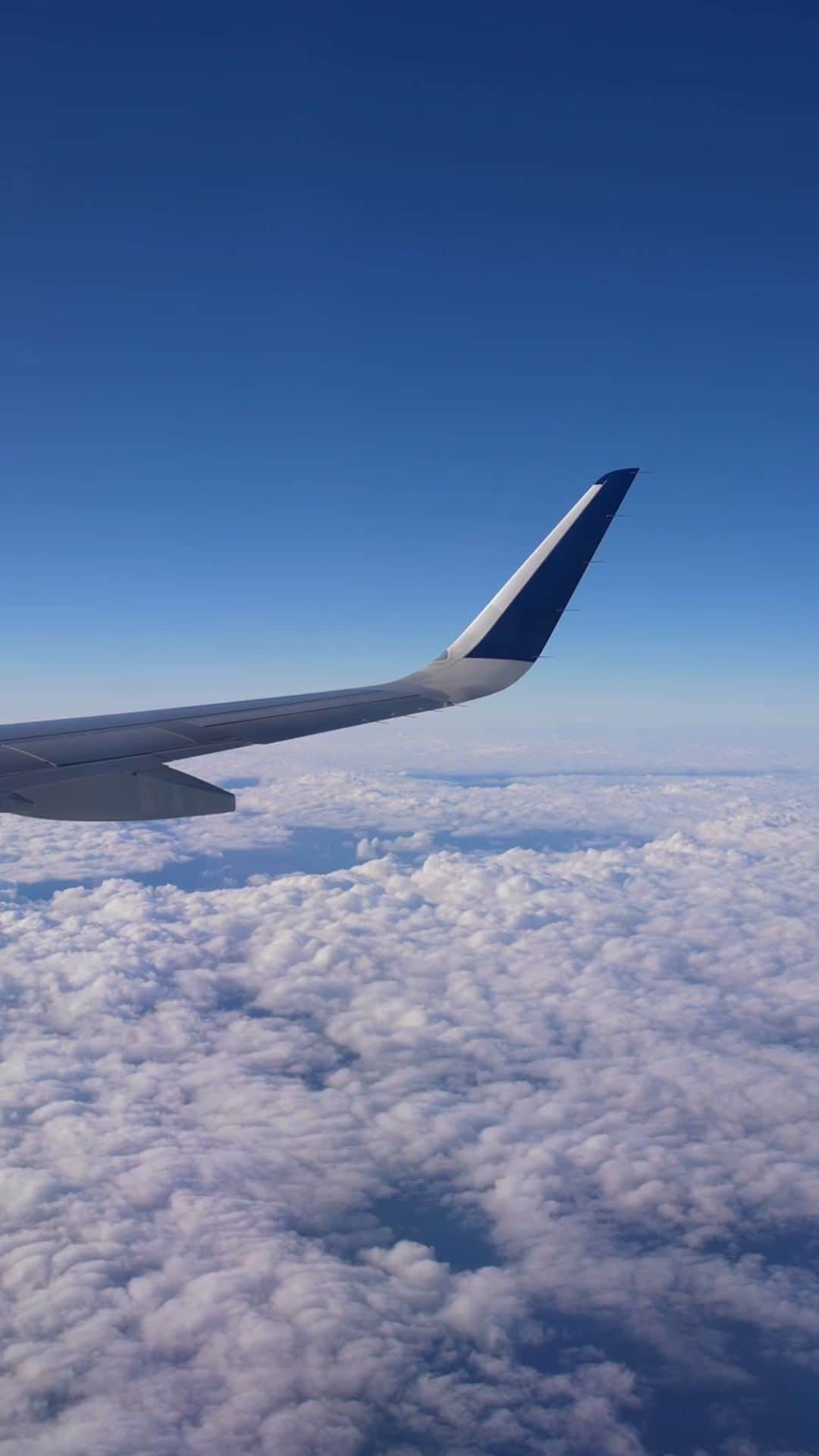 デルタ航空のインスタグラム：「Arriving in the Miami Art World ✈️   We partnered with six emerging artists from Miami to elevate their work in an immersive experience at 30,000 feet.」