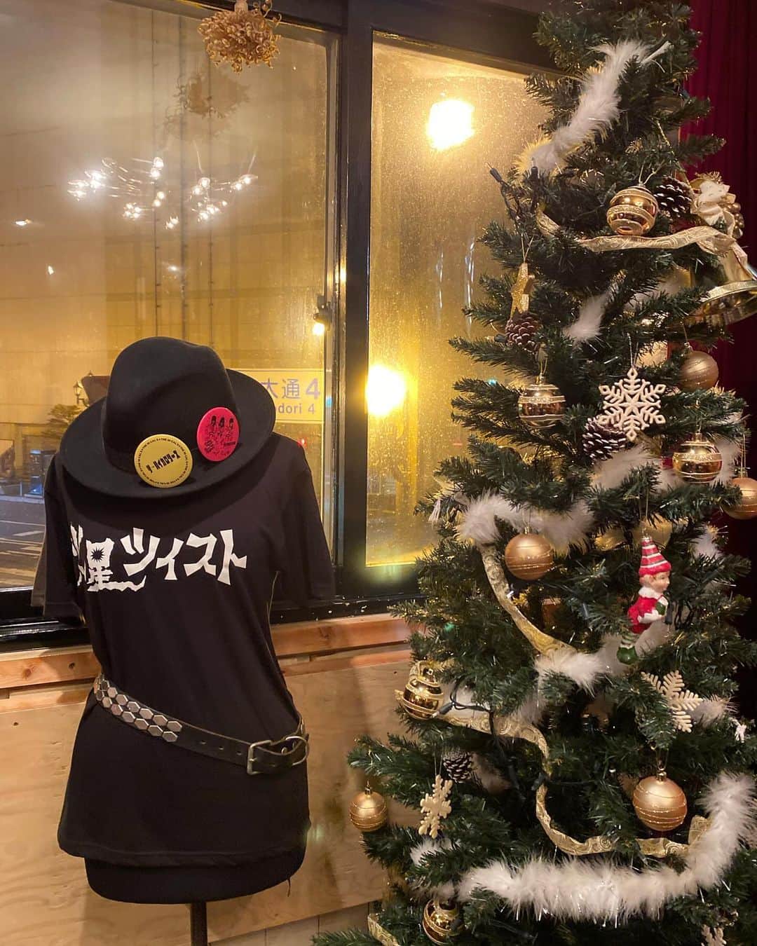 タテタカコのインスタグラム：「火星の皆様どうぞよろしくお願いいたします🦢🦢  👾2023.12.9(土) 👾 at 火星ツイスト🚀 (釧路市北大通4丁目6 TK無線電機商会2F)  open/18:30  start/19:00  adv/¥3,500  door/¥4,000 (+1drink ¥600) info : 0154-45-1103 / marstwist13@gmail.com」