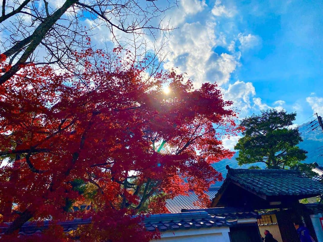 JULIAさんのインスタグラム写真 - (JULIAInstagram)「☆ ちょっと前に紅葉を見に行ってきたよ♪♪  多少色味の加工はしたけど綺麗でした♡」12月9日 17時29分 - julia_cmore_official