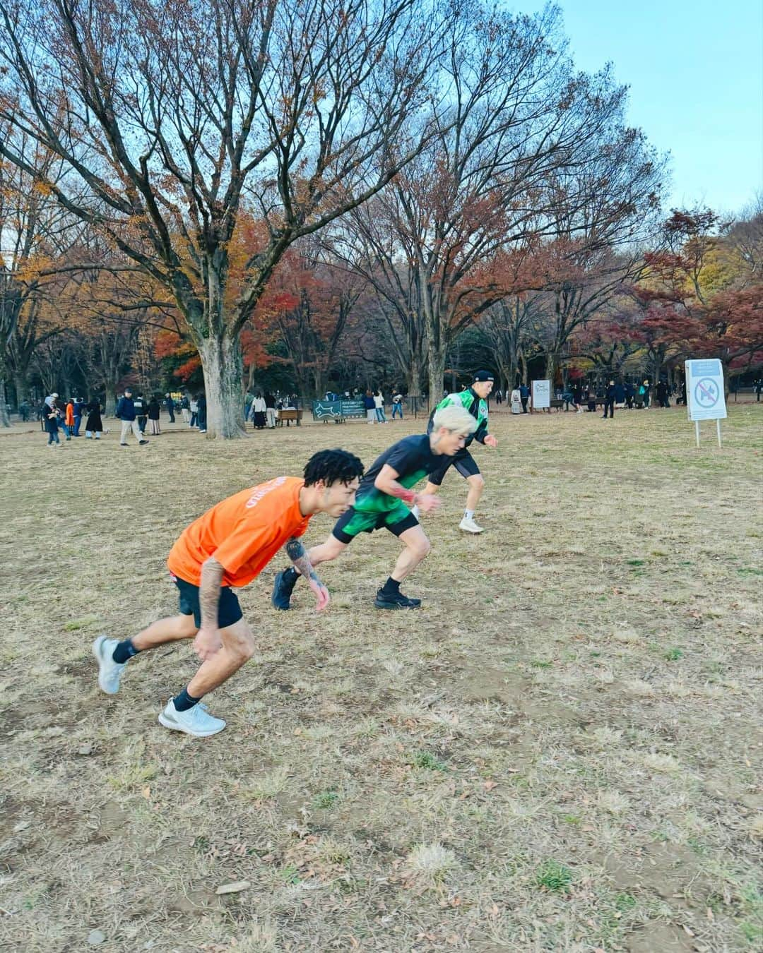 平本蓮さんのインスタグラム写真 - (平本蓮Instagram)「dog run🐕 大晦日は全勝する」12月9日 17時53分 - ren___k1