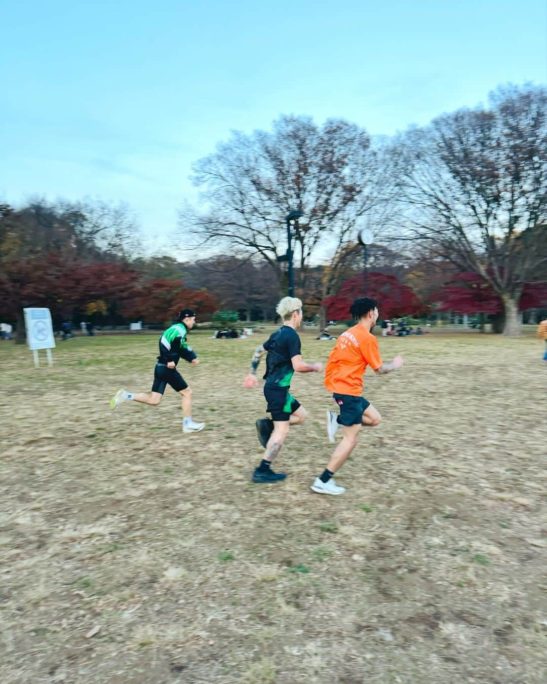 平本蓮さんのインスタグラム写真 - (平本蓮Instagram)「dog run🐕 大晦日は全勝する」12月9日 17時53分 - ren___k1