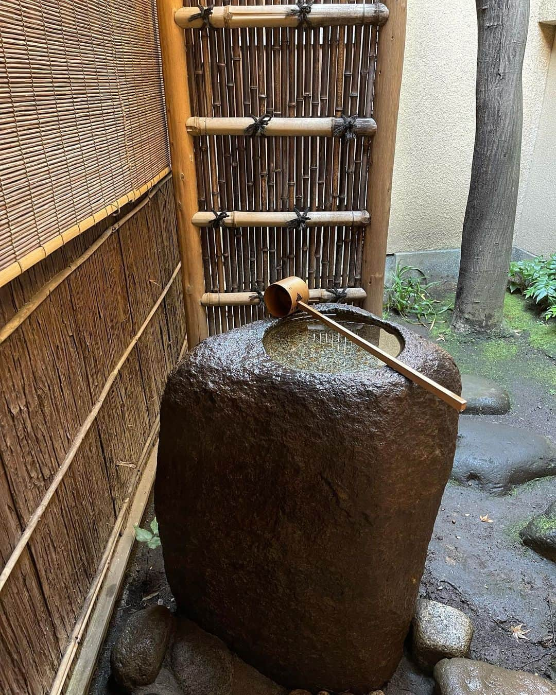 深澤里奈のインスタグラム：「◯◯◯  今年も沢山稽古させていただきました。  自分の茶室での稽古も始めた今年は、新たな目線で臨んだ様に感じます。  目線が変われば景色が変わる。  相変わらず没入感が半端なく、瞑想後のような心地良さに包まれます。  次回はもう納会。  それまでなかなかのハードスケジュールですが、家族含め体調崩さないように気をつけなければ。  #茶の湯の稽古 #江戸千家」