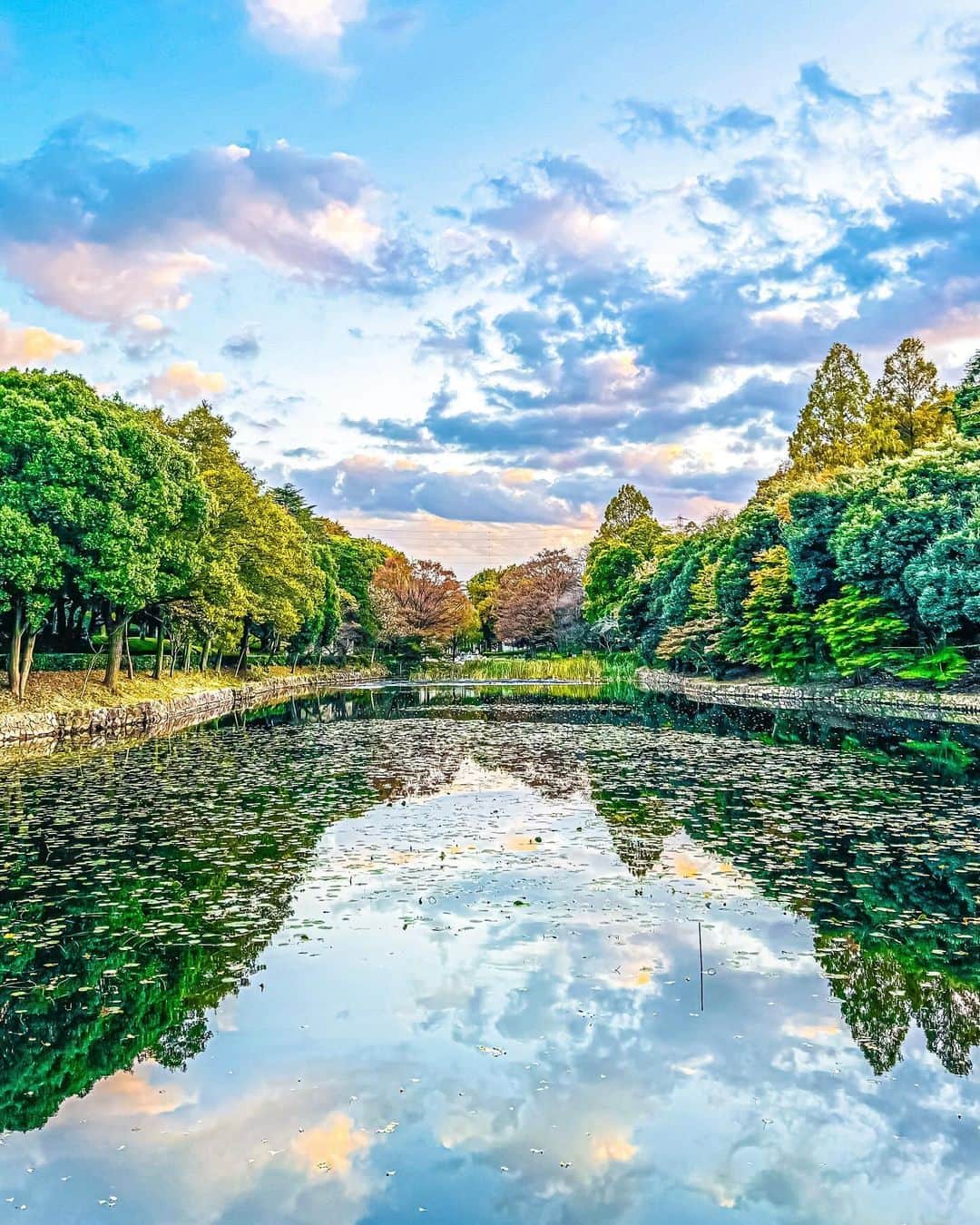 横浜市のインスタグラム：「Take in a breath of fresh air at Mitsuike Park 😊 Photo: @daizo0825  #myyokohama   #yokohama #darlingescapes #beautifuldestinations #artofvisuals #somewheremagazine #discoverglobe #travelawesome #passionpassport #lovejapan #explorejapan #japanlife #japanfocus #japan_vacations #japanrevealed #よこはま #ヨコハマ #横浜」