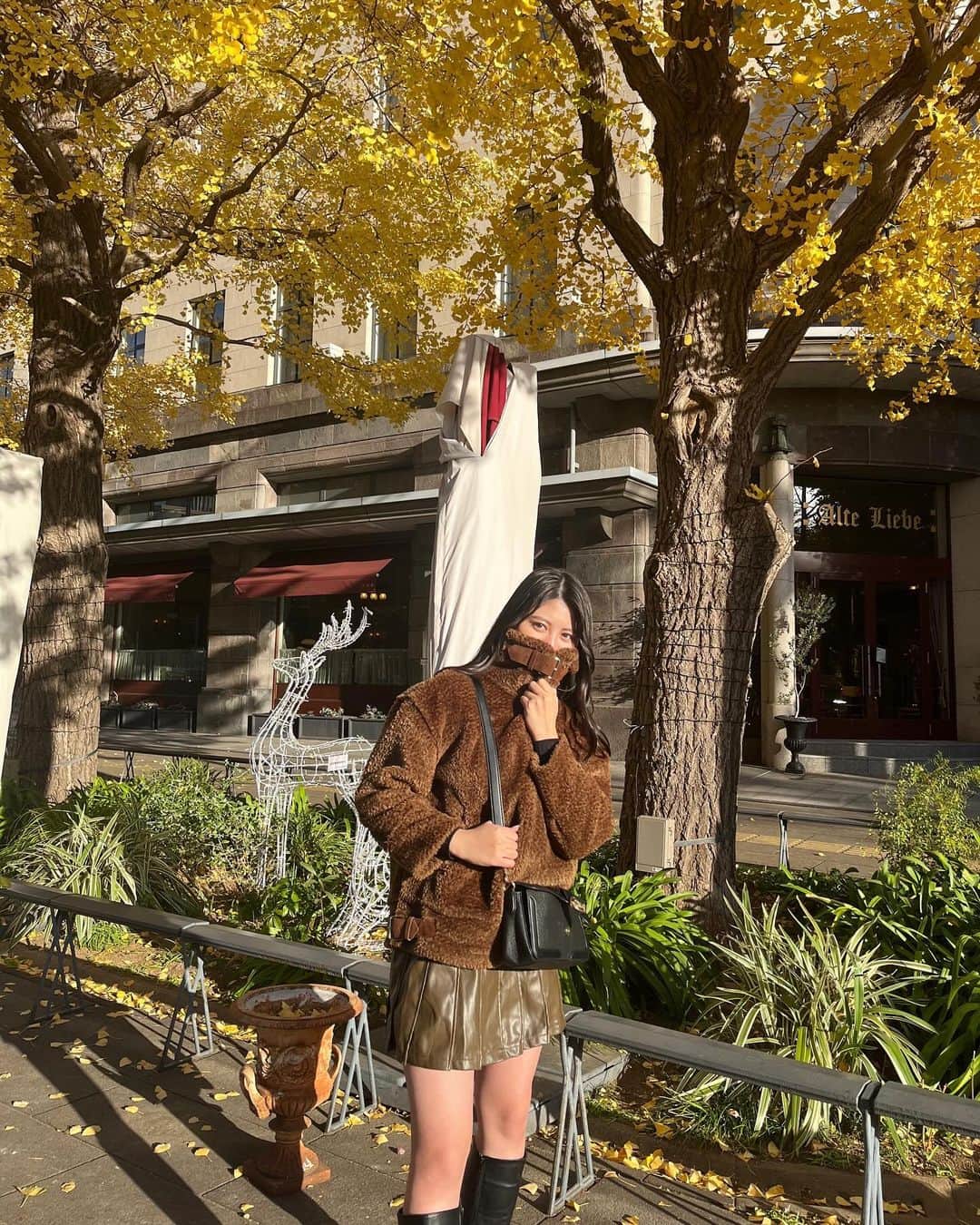 夢花さんのインスタグラム写真 - (夢花Instagram)「たまたま通った道がいちょうすぎた！💛  　  　  　 #いちょう #いちょう並木 #いちょうの木 #銀杏並木 #ボアジャケット #ボアブルゾン #ブルゾン #ブルゾンジャケット #ブラウン #ブラウンコーデ #ロングブーツ #ロングブーツコーデ」12月9日 18時15分 - dreamm_flowerr