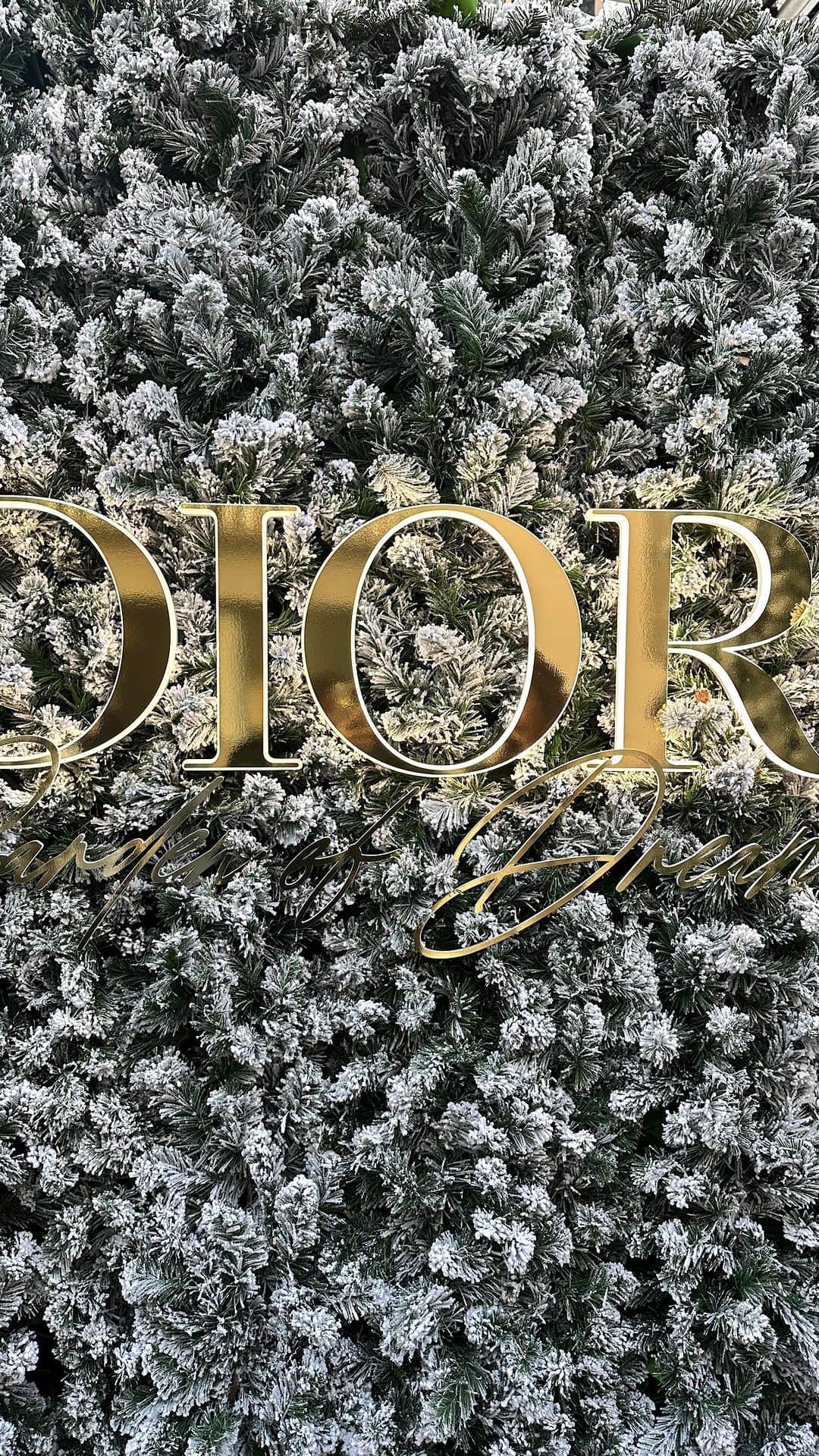 MARIのインスタグラム：「𝒟𝒾𝑜𝓇 𝒸𝒽𝓇𝒾𝓈𝓉𝓂𝒶𝓈 𝓂𝒶𝑔𝒾𝒸🎄🎅🏼❤️✨✨　#roppongihills」