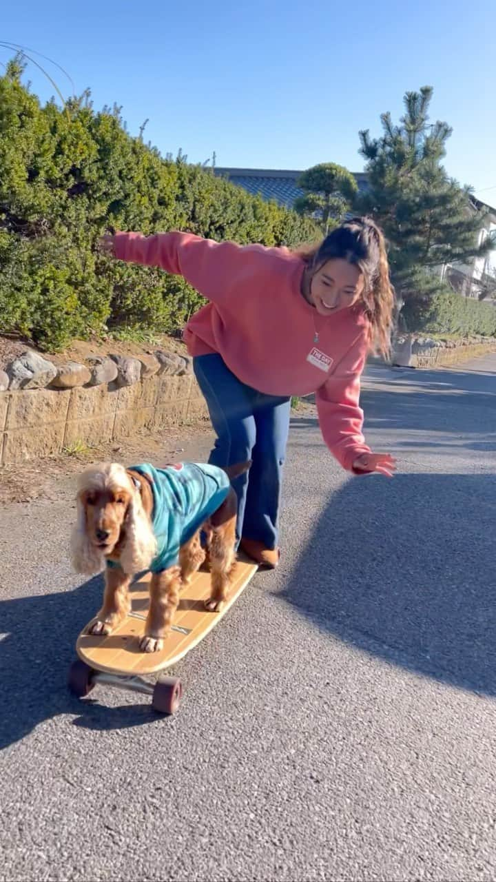 MAIMAIのインスタグラム：「I teamed up with Coda, a dog who rides skateboards and surfs.🐶🏄🛹💕 スケボーを乗りこなすコーダくんと初セッション❤️ 可愛すぎるぅ〜🥰💕💕 🐶 @satomimomi  🚩 @nasi_campur_ichinomiya  👚 @roial_intl   #イングリッシュコッカースパニエル  #コーダくん  #サーフィン犬  #サーフィン犬コーダ  #スケボー  #スケボー犬  #englishcockerspaniel #スケボータンデム #横乗り女子  #横乗り犬  #横乗りスポーツ  #ロングスケボー #skateboarddog  #longskateboarddancing  #longskateboarding」