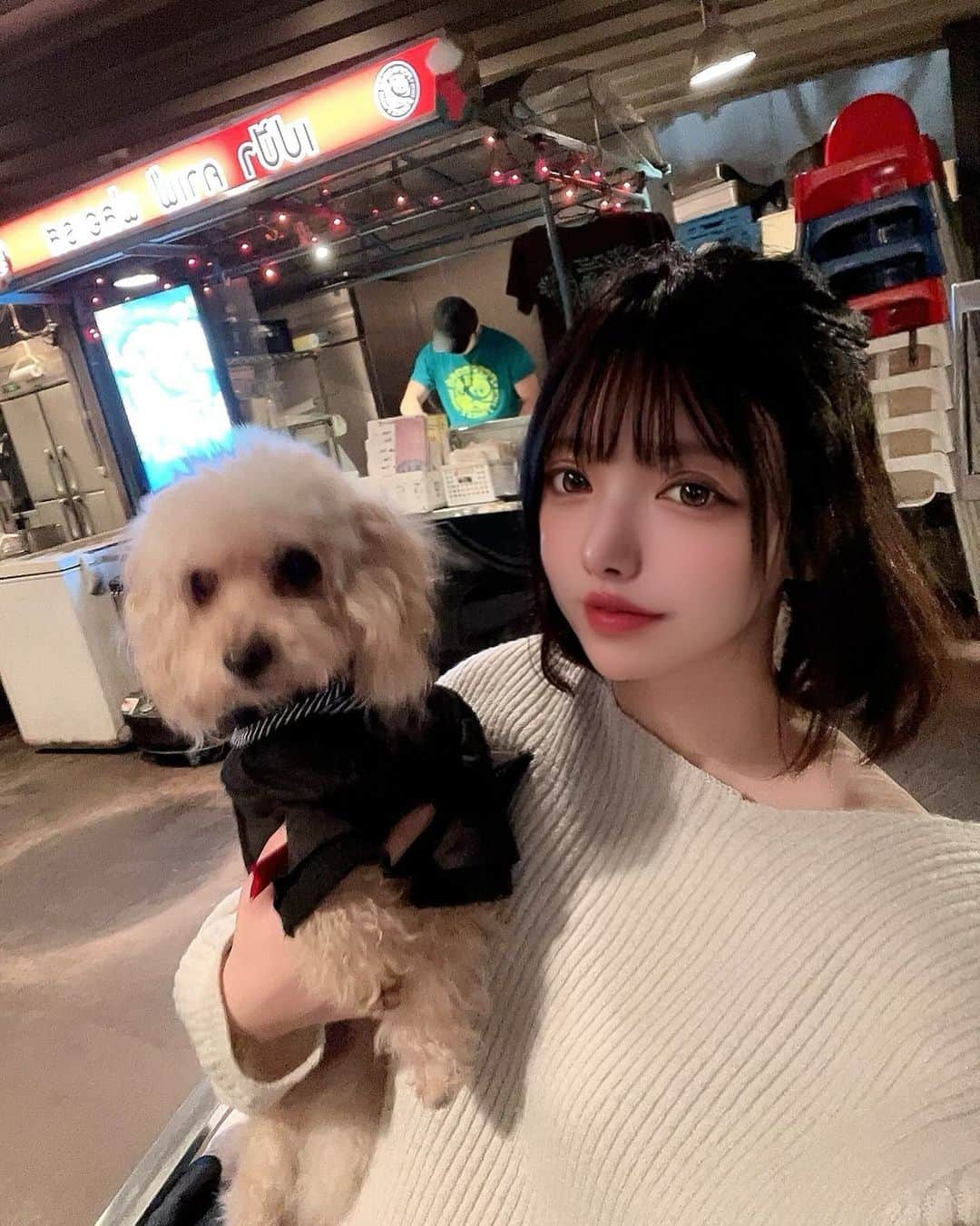 めあり(みい)さんのインスタグラム写真 - (めあり(みい)Instagram)「奏とむすびとアジアンレストラン🍴🐶🐶 むすびが可愛い🐩に恋して振られてテンション下がったの可哀想だけど可愛かった😂 ・ ・ #犬バカ部 #犬同伴#犬同伴ok #犬同伴カフェ #わんこのいる生活 #わんことお出かけ #マルプー#ポメマルプー#コーデ#自撮り#セルフィー#インフルエンサー#いぬすたぐらむ #いぬのきもち #プードル#いぬとおでかけ #犬okのお店 #吉祥寺#井の頭公園」12月9日 18時29分 - bokuwamus