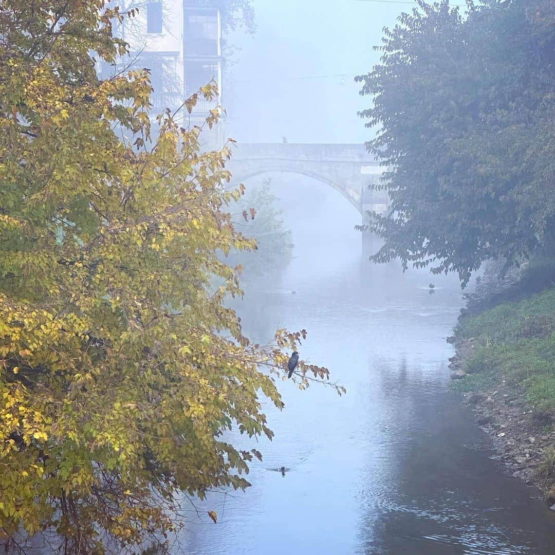 ヤマザキマリさんのインスタグラム写真 - (ヤマザキマリInstagram)「Padova」12月9日 18時42分 - thermariyamazaki