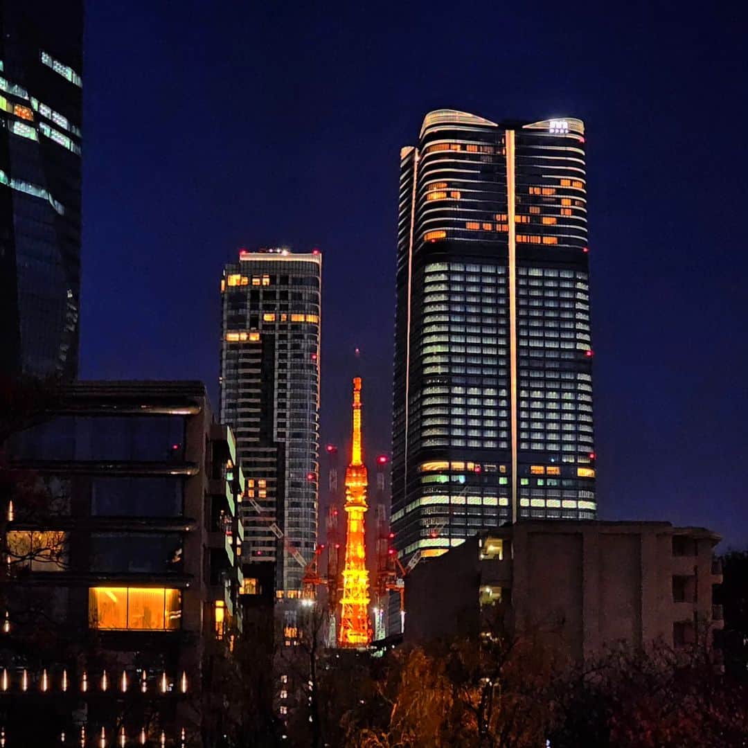 津田大介さんのインスタグラム写真 - (津田大介Instagram)「東京タワーが肩身狭そう。」12月9日 18時35分 - tsuda