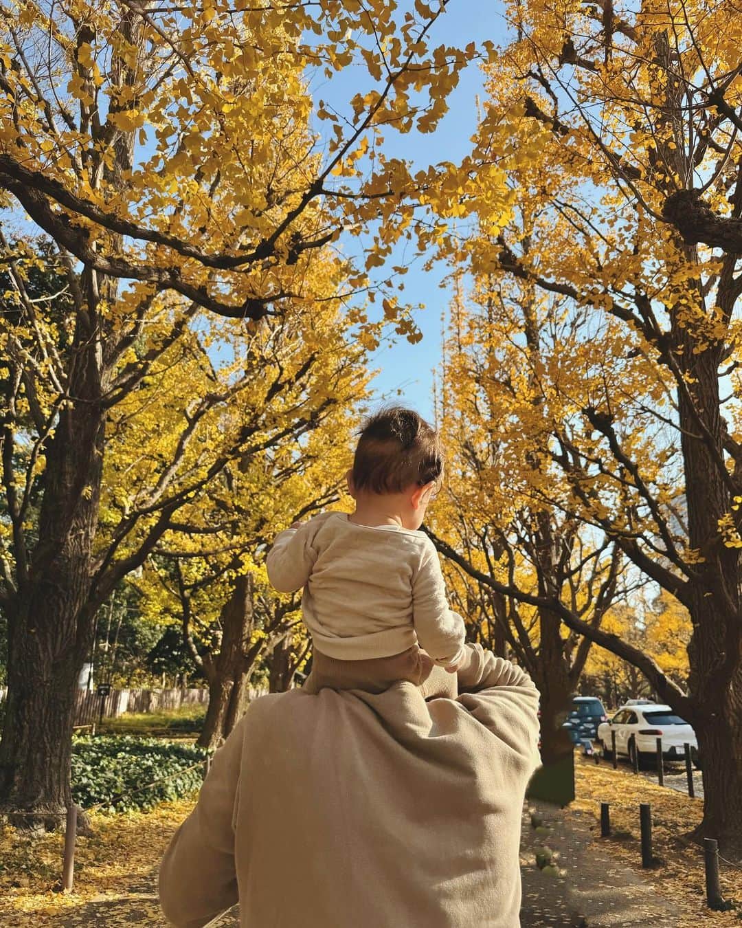 さんのインスタグラム写真 - (Instagram)「・ 終わりかけでしたが綺麗でした👏🏻  #外苑前 #銀杏並木」12月9日 18時54分 - natsukoakahani
