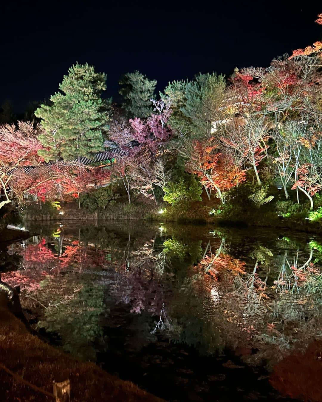 リサさんのインスタグラム写真 - (リサInstagram)「まだ紅葉残ってた〜🍁🍁  #京都紅葉  #京都観光」12月9日 19時02分 - _99risa