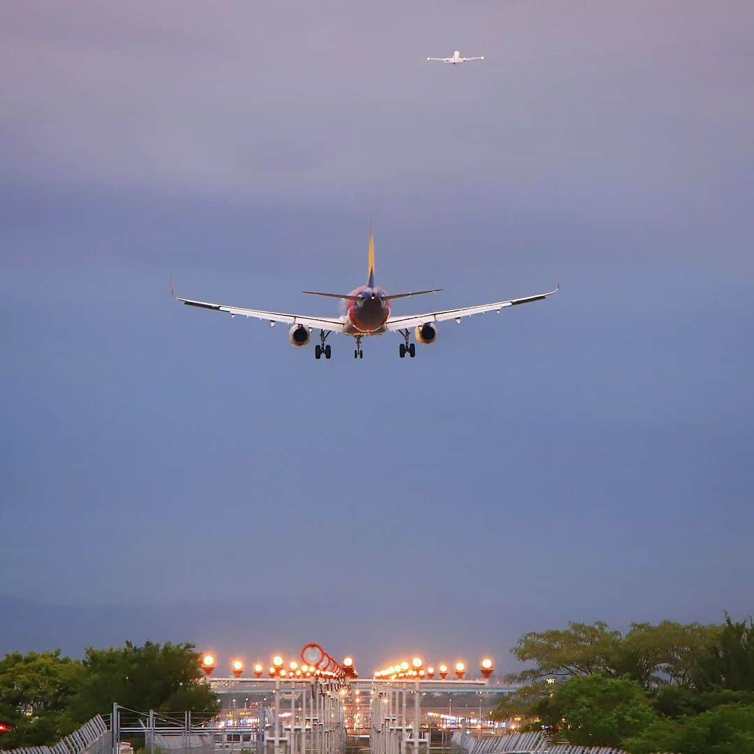 アシアナ航空日本地域公式アカウントのインスタグラム：「𝘼𝙨𝙞𝙖𝙣𝙖 𝙖𝙞𝙧𝙡𝙞𝙣𝙚  ┈┈┈┈┈┈┈┈┈┈ 機体の後ろ姿が魅力的な1枚。  後ろからでもアシアナカラーが 目立っています！  撮影ありがとうございます！ 📸 @tea_whai  ┈┈┈┈┈┈┈┈┈┈   #アシアナ航空 #アシアナ #ASIANA #asianaair #asianaairlines #OZ #Flyasiana #韓国 #korea #韓国旅行 #✈️#飛行機 #飛行機写真 #飛行機のある風景 #flyoz」