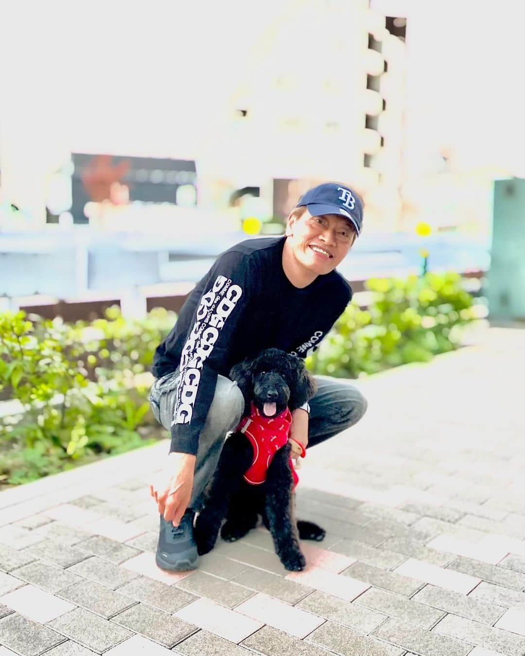 遠藤憲一さんのインスタグラム写真 - (遠藤憲一Instagram)「保護犬を我が家に迎えました。  保護時には栄養失調と足に怪我をしていたそうで、長い病院暮らしを経て、今は散歩もできるようになりました。 病院で大切にしてもらい、みんなに可愛がられていたので、人間と病院が大好きです。  何ヶ月間も病院で「クロミ」と呼ばれていたので、名前は変えずにそのままクロミです。女の子です。  みんな、よろしくね。」12月9日 19時58分 - enken.enstower