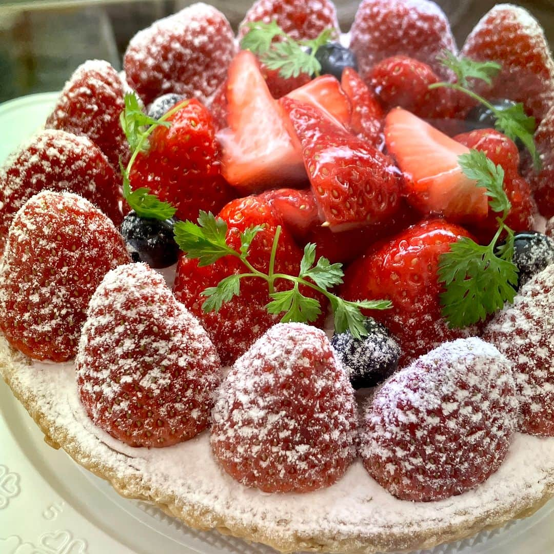 daimarusapporoさんのインスタグラム写真 - (daimarusapporoInstagram)「ショートケーキコレクション🍓🍰 クリスマスに食べたくなるケーキといえば……真っ赤な苺とふわふわスポンジ・クリームが楽しめるショートケーキ🍓  地1階 ほっぺタウンの洋菓子売場から、綺麗なショートケーキの数々をご紹介します🥰  🍓写真1枚目から ①〈#ショコラティエマサール〉ガトーフレーズ ②〈#ルタオ〉ピスタチオベリーショートケーキ 　ピスタチオクリームとココアスポンジを合わせたクリスマスカラーのショートケーキ。 ③〈#きのとや〉イチゴショート ④〈#ユーハイム〉いちごのショートケーキ ⑤〈#モンシェール〉苺ショート・ホワイトベリー 　キューブ型のきらびやかなショートケーキ✨ ⑥〈#イシヤ〉ショートケーキストロベリー 　こちらは丸い形。イチゴのジュレがのったショートケーキです。 ⑦〈#フルーツケーキファクトリー〉二種苺のタルト 　番外編！大丸限定、たっぷりのイチゴがとても華やかなタルト！  クリスマスといえばケーキ🥰❤️25日の前から楽しんじゃいましょう！  #大丸札幌 #ショートケーキ #札幌ショートケーキ #札幌ケーキ #クリスマスケーキ #クリスマススイーツ #クリスマスパーティー」12月9日 20時31分 - daimarusapporo