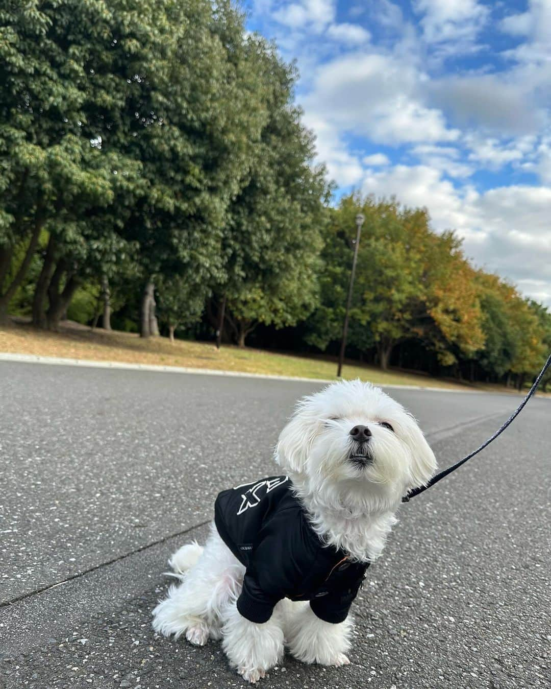 中野優香さんのインスタグラム写真 - (中野優香Instagram)「葛西臨海公園さんぽ🐾  @thenorthfacejp のダウンは最強🙆  #葛西臨海公園#ノースフェイス#ノースフェイス女子#ノースフェイスコーデ」12月9日 20時42分 - yuuka._.nakano