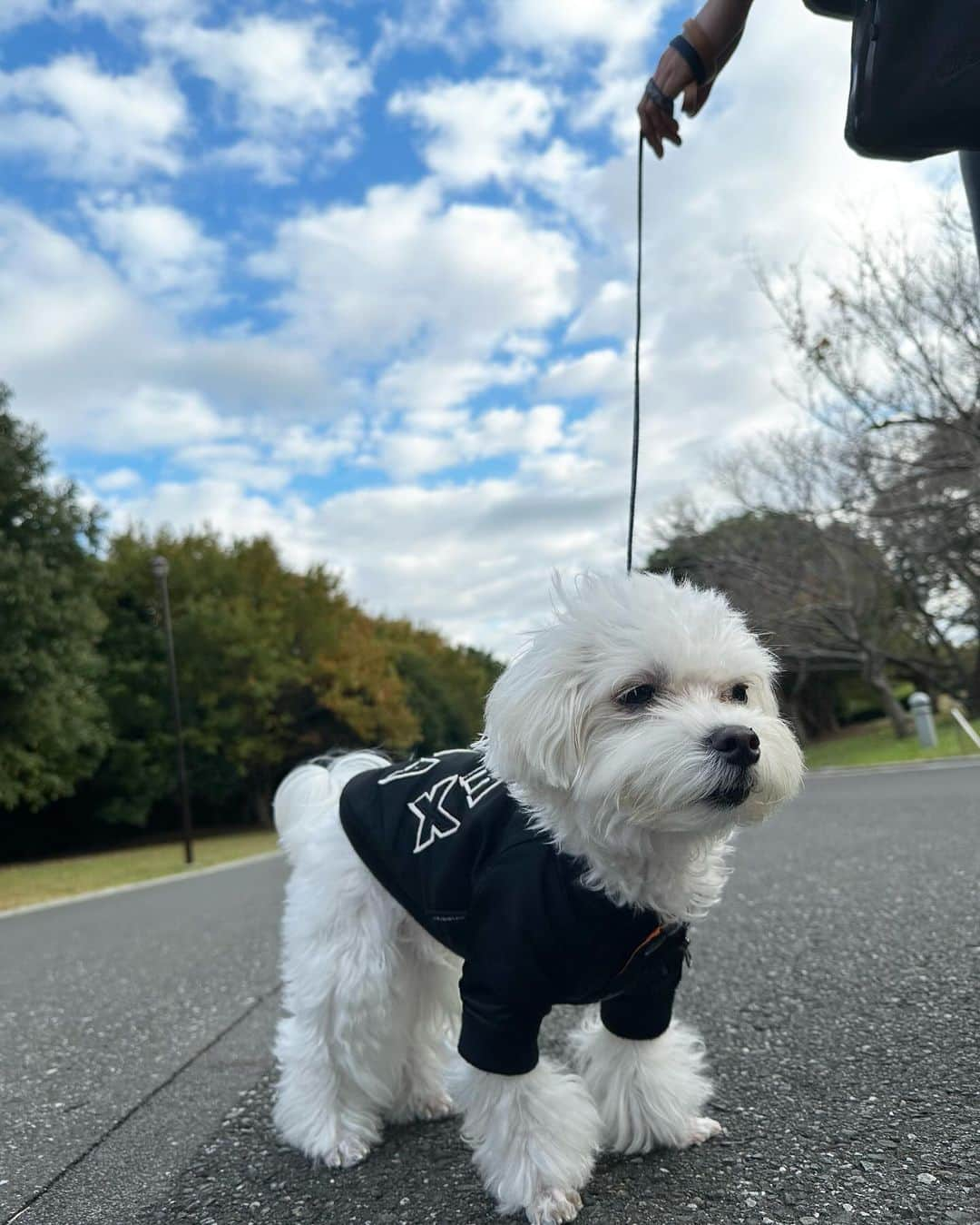 中野優香さんのインスタグラム写真 - (中野優香Instagram)「葛西臨海公園さんぽ🐾  @thenorthfacejp のダウンは最強🙆  #葛西臨海公園#ノースフェイス#ノースフェイス女子#ノースフェイスコーデ」12月9日 20時42分 - yuuka._.nakano