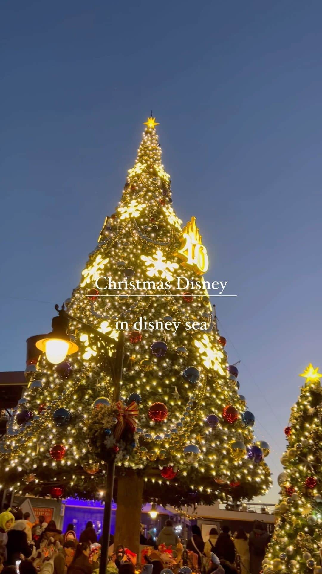 akiiiii1025のインスタグラム：「⁡ Christmas Disney🎄💕 ⁡ ライトアップされたシーの雰囲気が 最高だった🥹🫶💓 ⁡ ハロウィンディズニーも良かったけど、 クリスマスがやっぱり気分上がる〜🎅💛  ビリーヴも感動した🥹❤️ ⁡ ⁡ ⁡ ⁡ #disneyseatokyo#tokyodisneysea#disneysea #東京ディズニーシー#東京ディズニーリゾート #ディズニーシー#ディズニー#子連れディズニー #40周年ディズニー#40周年#ディズニーフォト  #ディズニー写真#クリスマスツリー#イルミネーション #クリスマスディズニー#クリスマス #大阪ママ#北摂ママ#男の子ママ#2児ママ #2歳差育児#家族旅行#子連れ旅行」