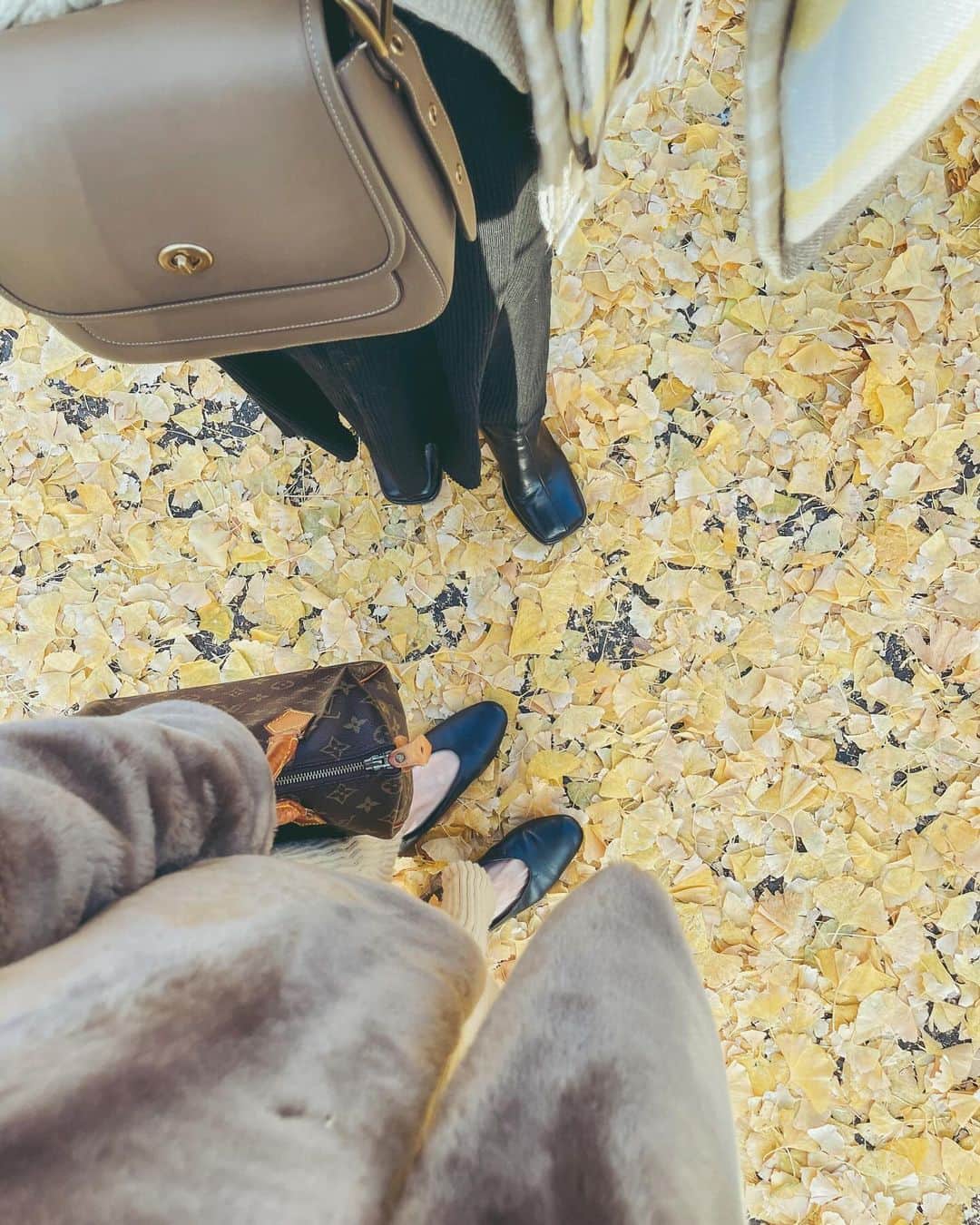 中島愛蘭さんのインスタグラム写真 - (中島愛蘭Instagram)「黄色の絨毯になってた💛💛💛」12月9日 21時12分 - aira_nakajima