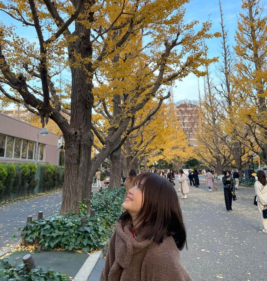 吉岡聖恵さんのインスタグラム写真 - (吉岡聖恵Instagram)「イチョウ並木🍂まろやかな黄色をした葉っぱ達。 リフレッシュタイムになりました。  落ちている葉っぱもそれはそれで美しかった🟡  THE FIRST TAKE  ブルーバード🔵  たくさんの国の人たちに観ていただけているようで嬉しい！  aoi aoi anosora〜🕊️🌏  そしてニューアルバム「○」（読み方は“まる”です） の発売がもうすぐです❕ 今回はリーダーがディレクターとして私の歌を録ってくれた曲が多数！ 2人体勢となって初のオリジナルアルバムです。 丁寧につくっていきました。 沢山の方に届いてくれたらいいなぁ。  ぜひゲットしてみてくださいね⚪️ お楽しみに！  来年はツアーもやります！こちらもぜひ来てくださいね🤩」12月9日 21時14分 - kiyoe_yoshioka_official