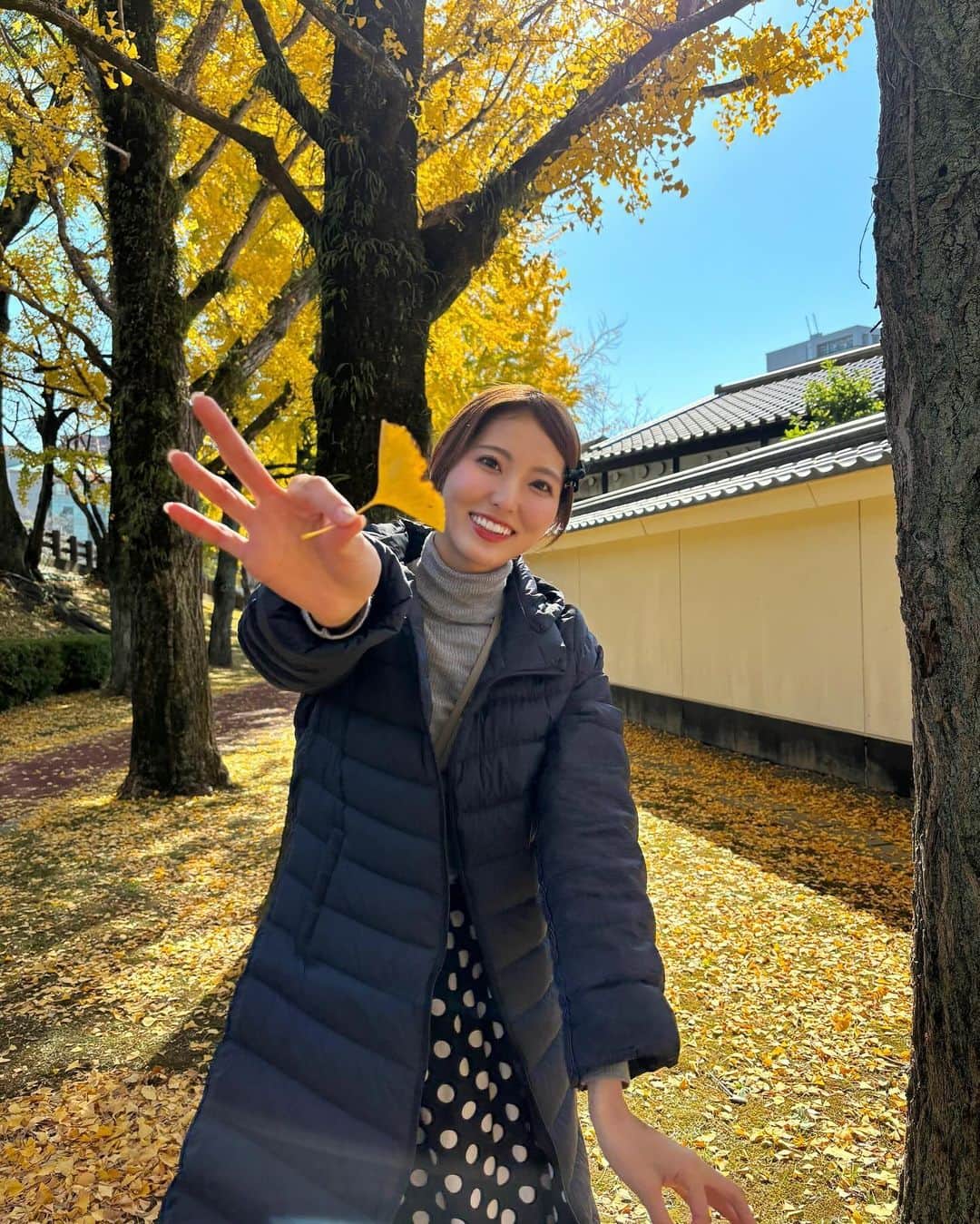 山下七子さんのインスタグラム写真 - (山下七子Instagram)「いちょうの大きな木を見つけると嬉しくなる季節🍂形も黄色も可愛いすぎる、、、🟨🟡 #熊本城#熊本県#熊本観光 #冬コーデ」12月9日 21時57分 - yamashita_nanako