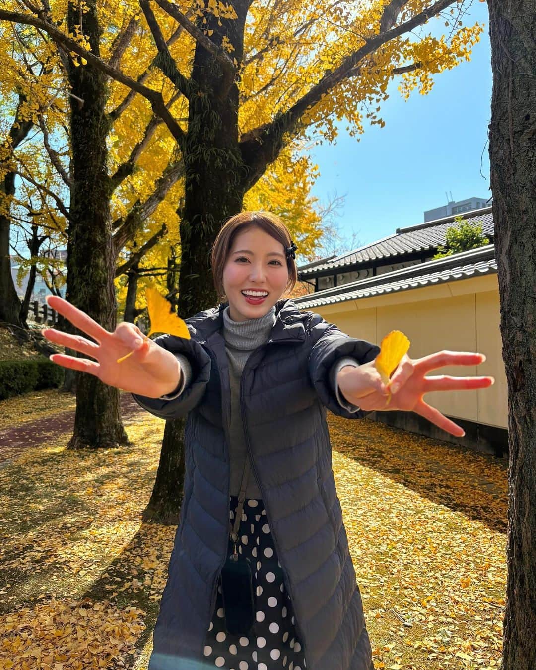 山下七子のインスタグラム：「いちょうの大きな木を見つけると嬉しくなる季節🍂形も黄色も可愛いすぎる、、、🟨🟡 #熊本城#熊本県#熊本観光 #冬コーデ」