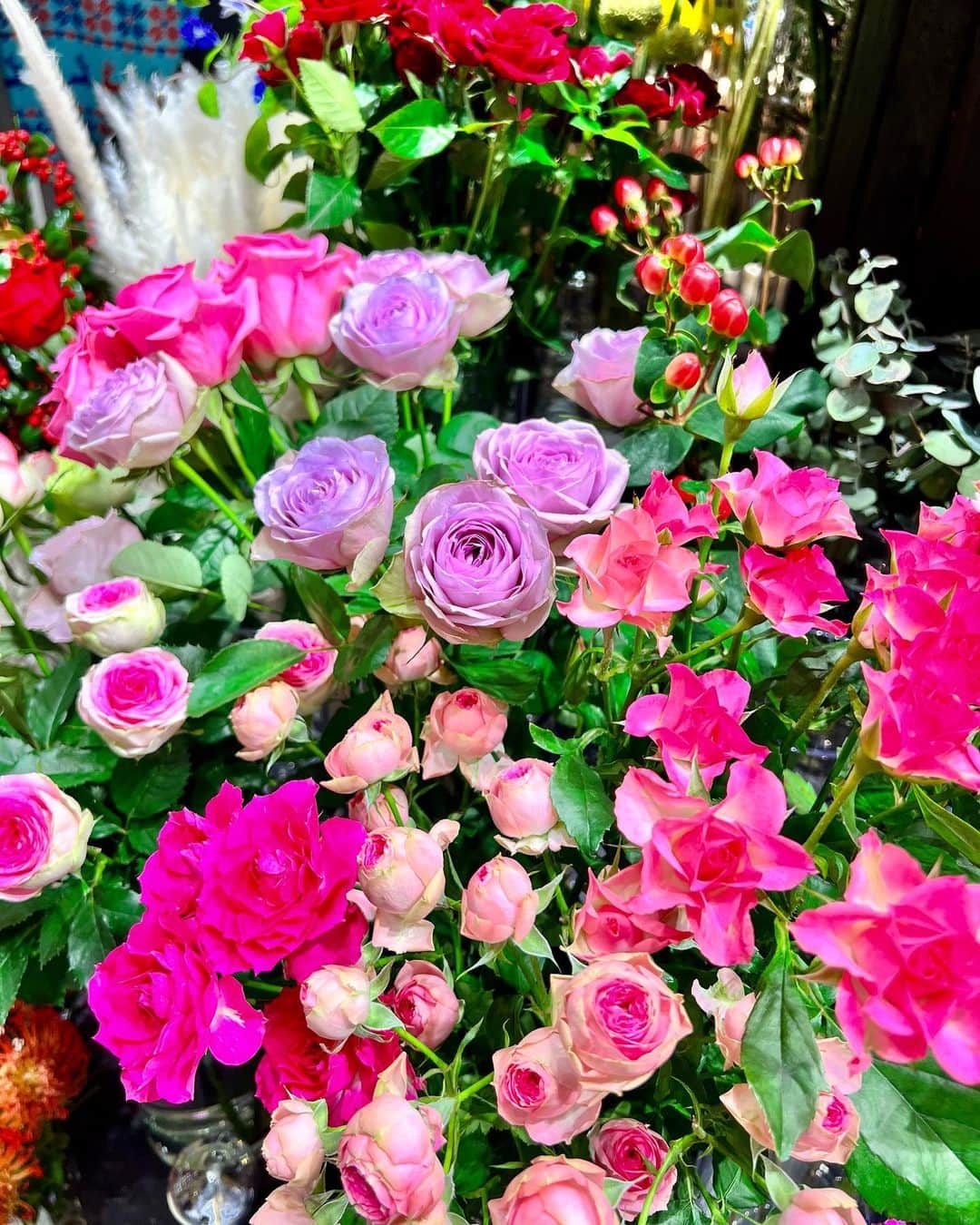 草野春香さんのインスタグラム写真 - (草野春香Instagram)「.💐🕊🫧  花って自分で買うのも好きだけど やっぱり人からもらうと嬉しいよね🌹💕」12月9日 21時59分 - _haruka030_