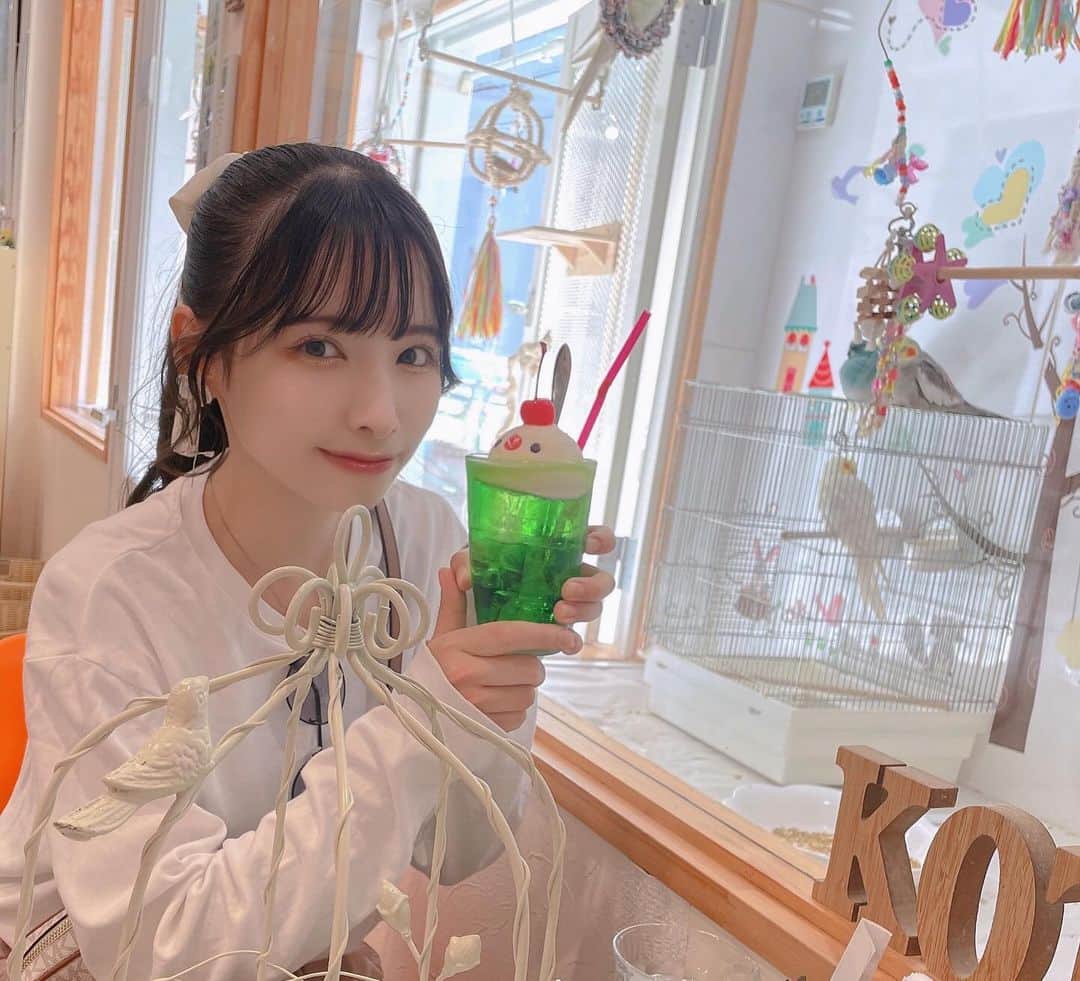 橋本麗愛のインスタグラム：「小鳥カフェ☕✧  小さい頃からずっとインコ飼ってたんだけど、ほんと可愛い   #ことりカフェ」