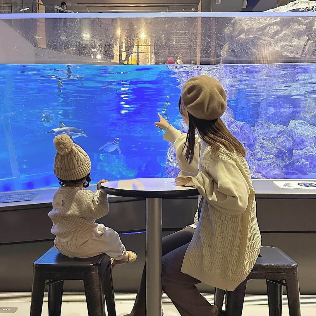 chocoさんのインスタグラム写真 - (chocoInstagram)「** ㅤㅤㅤㅤㅤㅤㅤㅤㅤㅤㅤㅤㅤ 先月初めて #すみだ水族館 へ🐟ˎˊ˗ ㅤㅤㅤㅤㅤㅤㅤㅤㅤㅤㅤㅤㅤ 11月11日はチンアナゴの日だったみたいで みんなこの被り物してお魚見てて なんか可愛かった🤣💓 ㅤㅤㅤㅤㅤㅤㅤㅤㅤㅤㅤㅤㅤ 🌱もなぜかずっとお気に入りで 取れたら付けてと言ってきた。笑 くじで当たったぬいぐるみはこの日から 今でもずっとお気に入り🤣🤍 ㅤㅤㅤㅤㅤㅤㅤㅤㅤㅤㅤㅤㅤ ㅤㅤㅤㅤㅤㅤㅤㅤㅤㅤㅤㅤㅤベビーカーでも行けるし施設内も綺麗で とってもよかった🙆‍♀️◎ (2歳以下無料) ㅤㅤㅤㅤㅤㅤㅤㅤㅤㅤㅤㅤㅤㅤㅤㅤㅤㅤㅤㅤㅤㅤㅤㅤㅤㅤ ㅤㅤㅤㅤㅤㅤㅤㅤㅤㅤㅤㅤㅤ 数年ぶりに撮ったプリクラは 宇宙人すぎて笑ってしまった👽w ㅤㅤㅤㅤㅤㅤㅤㅤㅤㅤㅤㅤㅤ  ㅤㅤㅤㅤㅤㅤㅤㅤㅤㅤㅤㅤㅤ #子連れスポット#子連れスポット東京#水族館 ㅤㅤㅤㅤㅤㅤㅤㅤㅤㅤㅤㅤㅤ#1歳9ヶ月#女の子ママ」12月9日 22時29分 - choco__24_