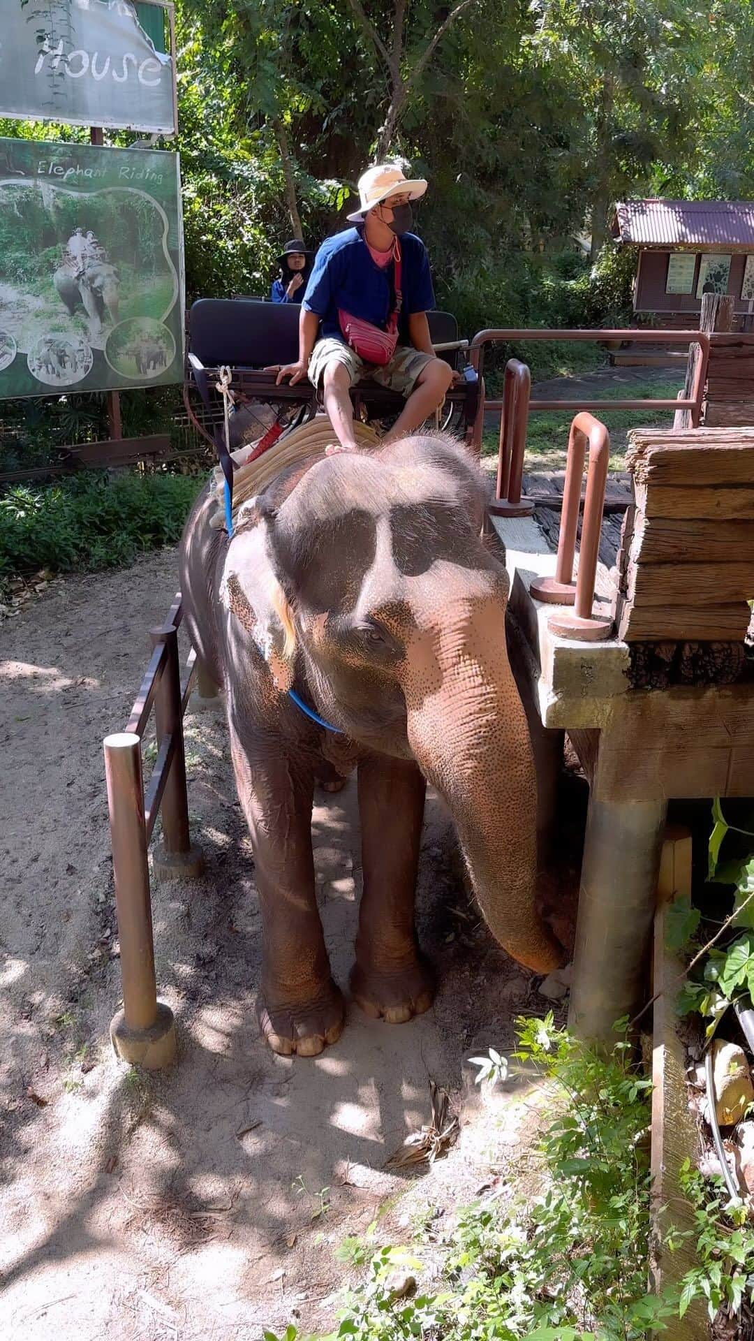 LIKIYAのインスタグラム：「⁡ I rode an elephant for the first time in my life🐘✨ ⁡ I was freaked out at first but he was really gentle that I got used to😌 ⁡ We had a great experience🙏✨ ⁡ Look at our scared face at the end😂lol ⁡ #thai #thailand #elephant  ⁡」