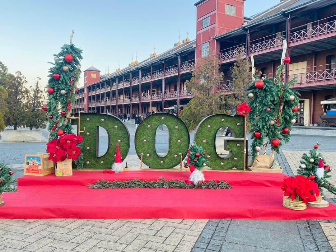 横浜赤レンガ倉庫さんのインスタグラム写真 - (横浜赤レンガ倉庫Instagram)「🎄ベイウォークマーケット🎄本日最終日！   各エリアにはワンちゃんと一緒に撮影できるフォトスポットが登場📷 ベイエリアをお散歩しながらマーケットを楽しみましょう🚶  ●開催期間 2023年12月8日(金)～12月10日（金）  ●営業時間 11:00～19:00  ●入場料 無料（飲食・物販代は別途） ※ドッグパークは有料  ●主催 BAY WALK MARKET 2023 実行委員会  ●後援 横浜市港湾局、(公財)横浜観光コンベンション・ビューロー、横浜商工会議所、(一社)横浜港振興協会  ●協力 株式会社ドッグランラボ  #横浜赤レンガ倉庫 #yokohamaredbrick #横浜 #横浜グルメ　 #おでかけスポット #おでかけ 　 #みなとみらい #みなとみらいグルメ #マルシェ #マーケット #ドッグラン #ドッグランラボ」12月10日 11時01分 - yokohamaredbrick