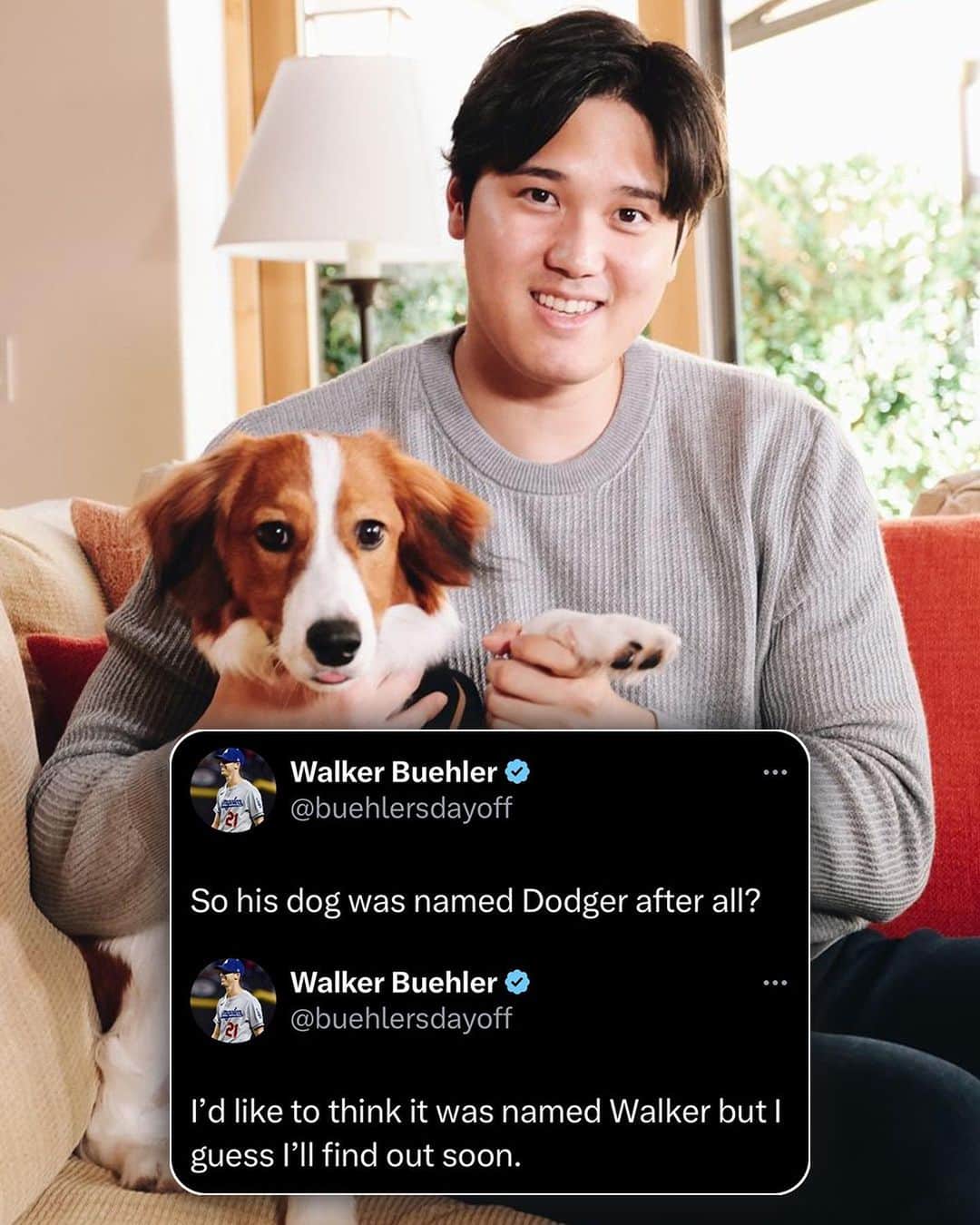 MLBのインスタグラム：「What do you think is the name of Shohei’s dog? 🐶」