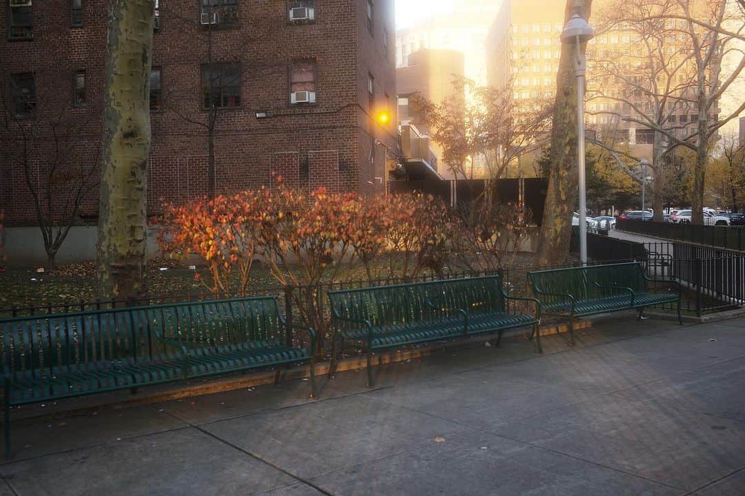 阿部裕介のインスタグラム：「The bench」