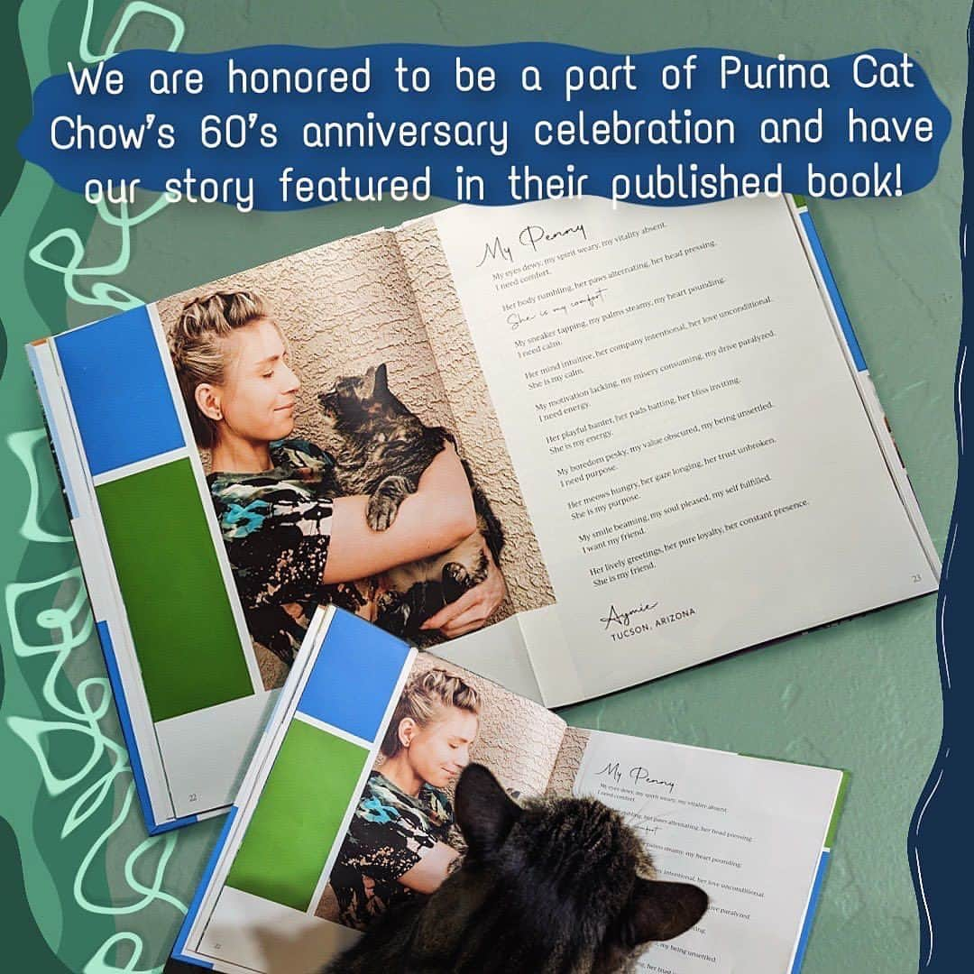 Cats of Instagramさんのインスタグラム写真 - (Cats of InstagramInstagram)「#ad It’s published! If you want to check out the poem from @aymieandfamily and other amazing cat owners, visit catchow.com/60years to purchase your copy!   Cat Chow chose 60 stories focusing on the meaningful bond between cats and their owners and published a book! We are very excited that our poem is featured along side so many beautiful stories from cat owners just like you! #CatChowPartner」12月10日 6時39分 - cats_of_instagram