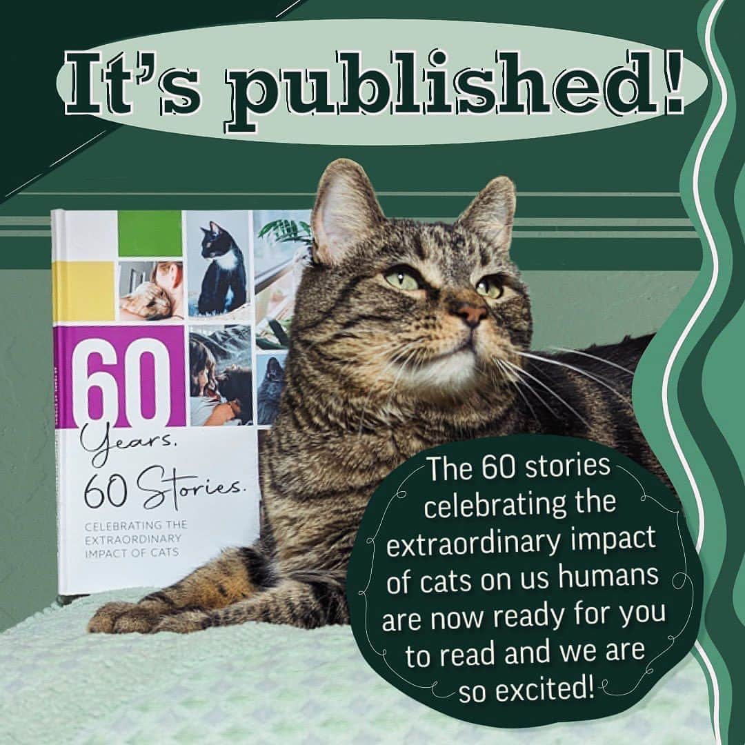 Cats of Instagramさんのインスタグラム写真 - (Cats of InstagramInstagram)「#ad It’s published! If you want to check out the poem from @aymieandfamily and other amazing cat owners, visit catchow.com/60years to purchase your copy!   Cat Chow chose 60 stories focusing on the meaningful bond between cats and their owners and published a book! We are very excited that our poem is featured along side so many beautiful stories from cat owners just like you! #CatChowPartner」12月10日 6時39分 - cats_of_instagram