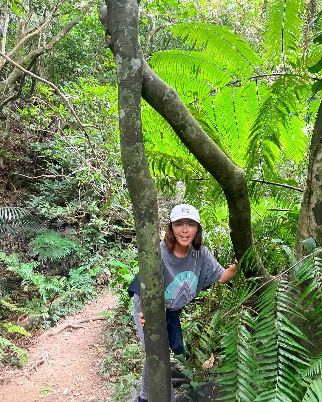 田中律子のインスタグラム：「沖縄の家から車で15分くらいで行けるこんなジャングル🌴  石川岳のトレッキングコース、初心者Aコース、中級Bコース、上級者Cコース🏃‍♀️今回はCコースを攻めてみましたーーー🤭  登りはちょいきつめ、息切れの坂や、無言の坂😑ホントに息切れするし無言ってか、しゃべれん😆川沿いを歩いてめちゃくちゃ楽しかったー❗️  汗だくで💦1時間弱くらいで頂上へ❗️ゆっくり登って往復1時間20分くらいでした🙌🏼下山する途中で、2匹のうり坊🐗と遭遇、夢中でエサを食べてました、どんぐりかなー❓親がいなかったから良かったけど、ちょっと怖い🫣  足腰鍛えるにはトレッキングめちゃくちゃいいね✊🏼  #okinawa  #okinawalife  #beachlife  #海のある生活  #たまには山もいいね  #石川岳  #トレッキング  #salomon #ジャングル探検  #野生児 #律子を探せ」