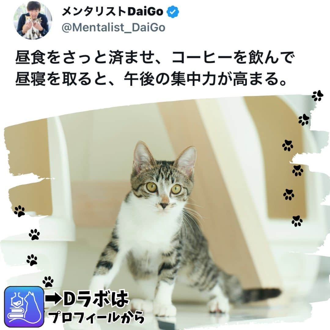 メンタリストDaiGoさんのインスタグラム写真 - (メンタリストDaiGoInstagram)「🐈本日の名言📚 プロフィールからDラボもみてね  #心理学 #メンタリスト #dラボ  #dラボはプロフィールから」12月10日 8時00分 - mentalistdaigo