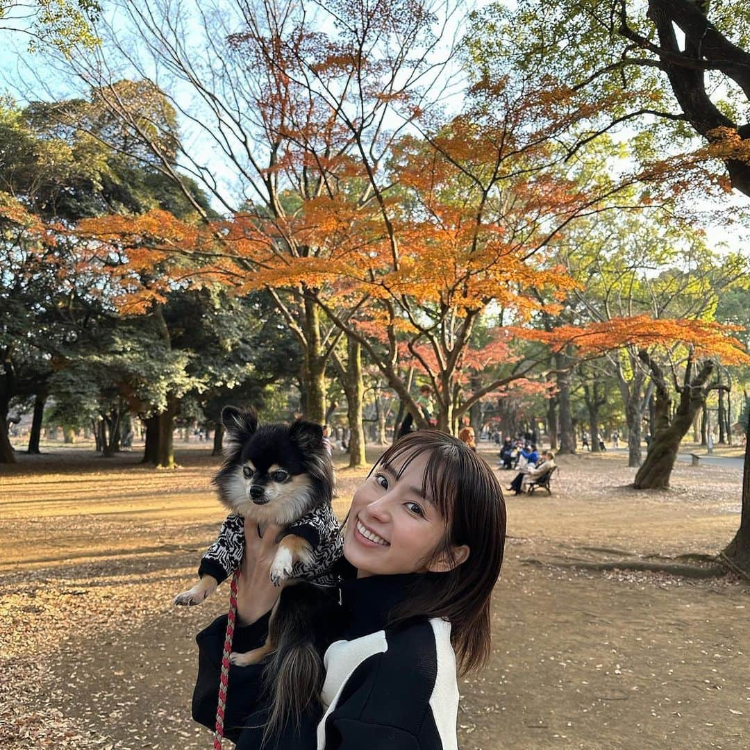 前田ゆうのインスタグラム：「やっほい＼(^o^)／ 昨日は久しぶりに公園へ☀️❣️ たぶんそんな久しぶりじゃないけど公園へいくことが多すぎて少しあくと久しぶりな感じがする🤲✨  相変わらずマイペース犬🐶やから全然ドッグランでは楽しめず、、、 匂くんくんしてあそんでました🍂 寒くなったりやけど最近あったかい日が続いててうれしいな😍もうさぶくなるやんな🍂よし‼️あったかいうちにたくさん動くぞーーーーー😆  しかし化粧すること減ったからマツゲパーマされてないとやっぱりしっくりこない🥲 @lovecurl.sancha いかなきゃ😋❣️ マツゲに関してはほんといろんなお店いってきたけどラブカールがいちばんダイスキ💕✨ かなり長く通わせてもらってます✨❤️」