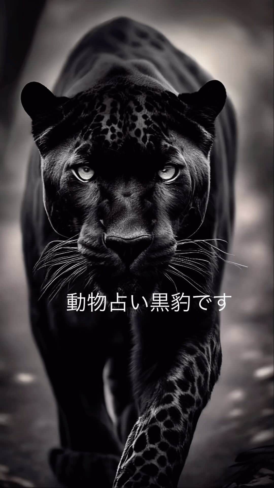山崎義幸のインスタグラム：「動物占い黒豹です　占い信じないけどかなり当たってる🩵 新しいもの好き、正義感が強く、批判精神が旺盛です。 世話好きで情にもろいところがあるので、時にささいなことに傷ついて落ち込んでしまうことも。 常にスマートでカッコよく生きたいと考えているため、常にトレンドを読み、情報を収集するためのアンテナを張り巡らせるなど、努力を欠かしません」