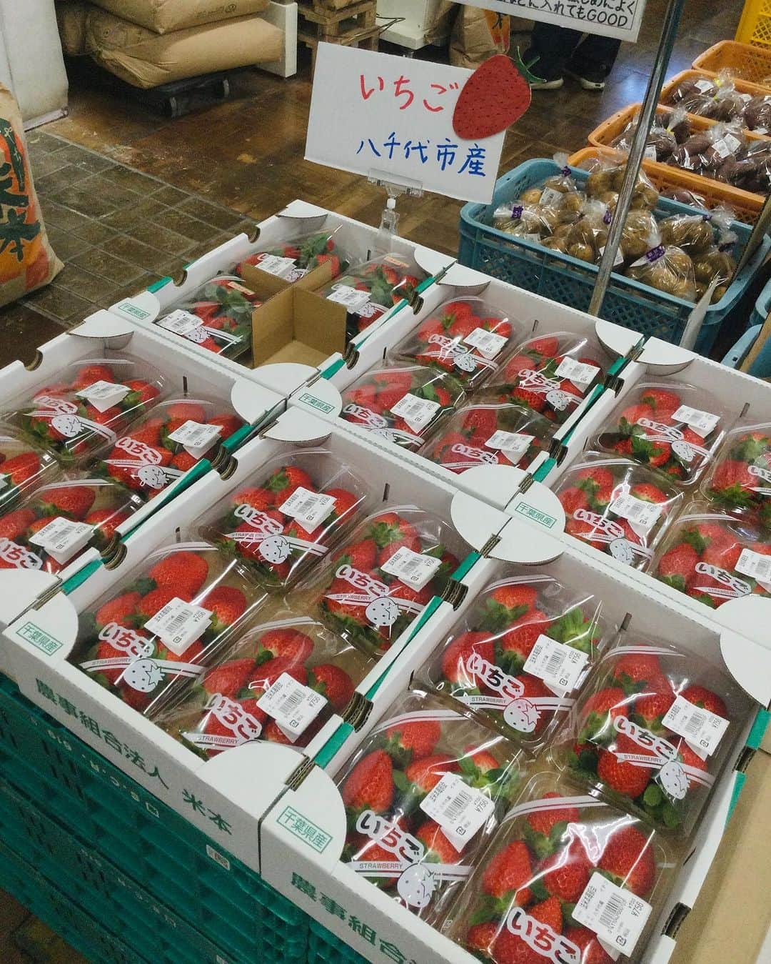 道の駅やちよさんのインスタグラム写真 - (道の駅やちよInstagram)「八千代市産のいちご🍓入荷始まっています！ いちごって、食べて美味しく見て可愛いくって幸せな気分になりますよね🥰 入荷数はまだ少ないのでお求めの際はお早目にご来店ください🍀  #お出かけ #道の駅 #道の駅やちよう #道の駅めぐり #地産地消 #農産物直売所 #新鮮野菜 #野菜好き #野菜たっぷり #買い物 #いちご🍓#八千代市 #千葉県  #休憩 #やちよ農業交流センター」12月10日 9時37分 - michinoeki_yachiyo090720