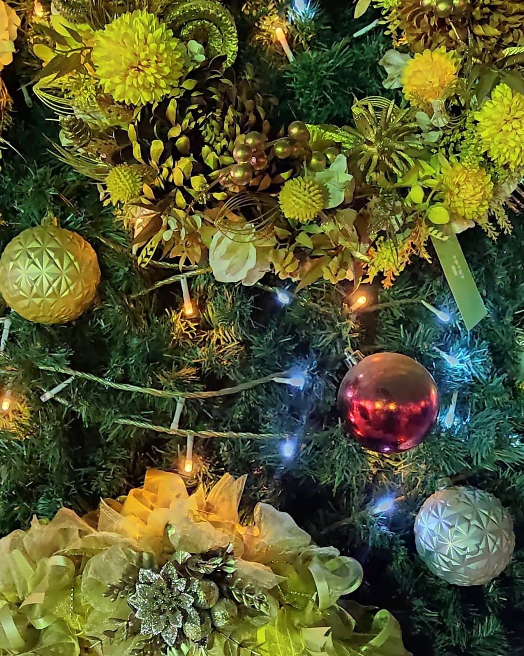 越中睦士さんのインスタグラム写真 - (越中睦士Instagram)「#tokyochristmasmarket2023  #tokyo #Christmas」12月10日 20時51分 - makotokoshinaka