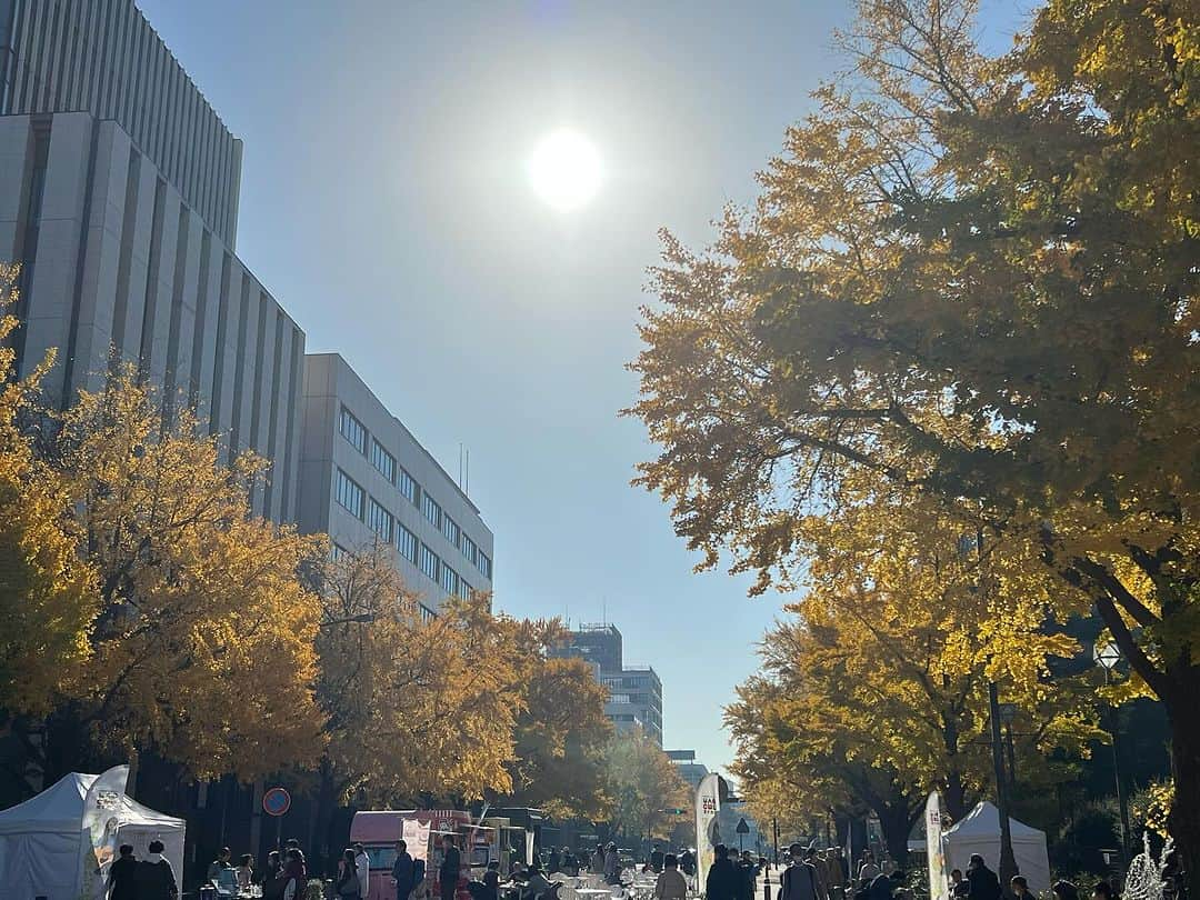 山本修平さんのインスタグラム写真 - (山本修平Instagram)「マグカル開放区にて初FEVER！県庁前の銀杏並木。この匂い久しぶり。みてくれた皆様ありがFEVER！  マグカル開放区とは、日曜日の、県庁前の日本大通りに「マグカル開放区」として、音楽やダンス、大道芸などのパフォーマンスを自由に発表できる空間の事 #横浜 #大道芸 #マグカル開放区」12月10日 19時22分 - boyonboyonyama