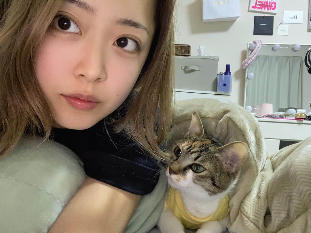 大木美里亜（みりちゃむ）のインスタグラム：「最近寒いねっ🐱」