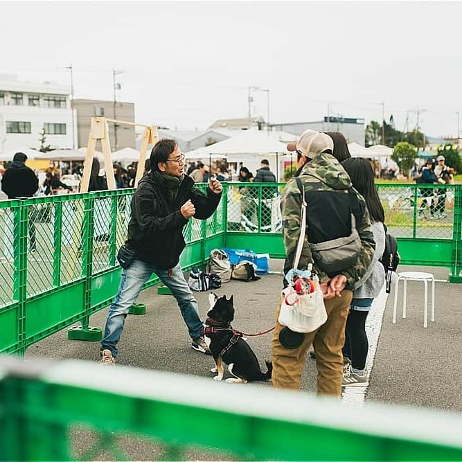 甲斐麻美さんのインスタグラム写真 - (甲斐麻美Instagram)「・ いぬcafeガーデンに  🐕まなべるドッグランと、 🐕犬と歩こう！マナーパックウォークが登場します！  事前ご予約OKですので、 ぜひお問い合わせしてみて下さいね🙌  ■まなべるドッグラン  12/16(土)17(日)両日  ＼dog training PiPelle／ (@pipelles_dog ) ▶まなべる遊べるドッグラン  広場で我が子をのびのび走らせることができるドッグラン🐕 楽しそうに駆け回るワンコを見ると、パパママも嬉しくなりますよね☺💓 みんなが楽しめるドッグランだからこそ、 マナーを守って、安全に楽しく、思いきり遊ばせてあげましょう！  ＝＝＝  ■マナーパックウォーク(ミニ)＆お悩み相談  12/16(土)17(日)両日  ＼JDBA認定ドッグトレーナー　DEAR BRO／ (@dear.bro_) ▶ドッグトレーニング＆お悩み相談  犬は本来群れで暮らす社会的な動物です。 普段は単頭飼いされている犬たちに群れ（パック）で散歩をする経験をさせてあげませんか。 社会性が身についたり、普段は見られない多頭の中での愛犬の姿を見ることができます。 ※他犬と近づける際のマナー、挨拶のさせ方なども飼い主様にお伝えします😊  ---------- ※事前予約等は各出店者様のDMへ 直接お問い合わせ下さい ----------  ■駐車場は大変混み合いますので、 公共機関のご利用をオススメします♩  ■会場内が混雑した場合 入場制限させて頂く場合がございます🐕🐾  ================ 　いぬ cafe ガーデン ================ 日時：R5.12/16(土)17(日) 10:00～15:00 ※雨天中止 場所：レイクタウンアウトレット JR武蔵野線　越谷レイクタウン駅　徒歩7分 ※入場無料 ※カフェエリア予約優先（ワンドリンク制）  ■カフェのご予約はこちら💓 >> https//reserva.be/inutowatashi プロフィール欄から飛べます🕊  #いぬcafeガーデン #いぬとわたし #レイクタウンアウトレット #犬イベント #いぬのいる暮らし #ドッグカフェ #犬とクリスマス #クリスマスイベント #犬との暮らし #犬ファースト #犬好きさんと繋がりたい #犬がいないと生きていけません #犬好き　＃いぬカフェ #犬のイベント #犬イベント #ワンコのマナーアップ #犬の幸せ」12月10日 20時00分 - inuto_watashi