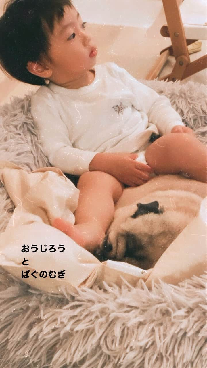 奈津美のインスタグラム：「おうじろう と ぱぐのむぎ  むぎがだいすきなおうちゃん 追っかけ回してしっぽぶんぶんしたり よくむぎのベッドの中に侵入してる🥺笑  加減ができないおうちゃんの 愛のスキンシップを いつもやさしい気持ちで 受け止めるむぎ😭🫶 いつもありがとう。  同じタイミングでよく寝てるし 何か繋がってるね〜君たち。  ふたりの絡みを見てると ほわ〜って心が緩むぜ😚・° 明日からまた頑張ろう！  みなさまにも癒しをお裾分け🐶 (需要とか考えず、一方的ww)  #おうちゃんとむぎ #1歳5ヶ月 #男の子ママ  #息子と愛犬 #わんこのいる生活  #パグのいる生活  #パグ　#むぎパグ #癒し動画」