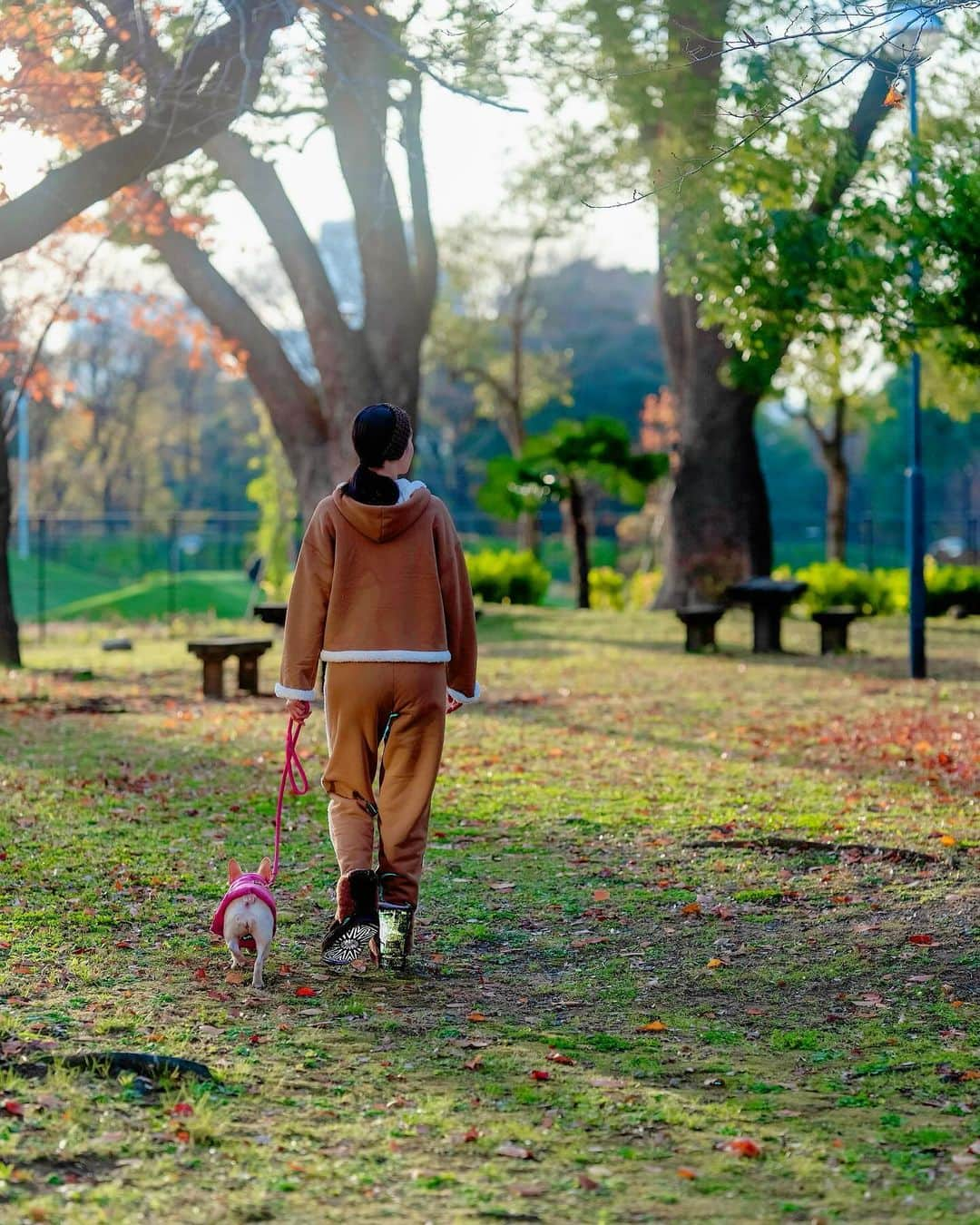 川原亜矢子さんのインスタグラム写真 - (川原亜矢子Instagram)「Sunday evening🌇 #tokyo #december #winter #frenchbulldog #フレンチブルドッグ #フレブル #美容」12月10日 20時08分 - ayakokawahara