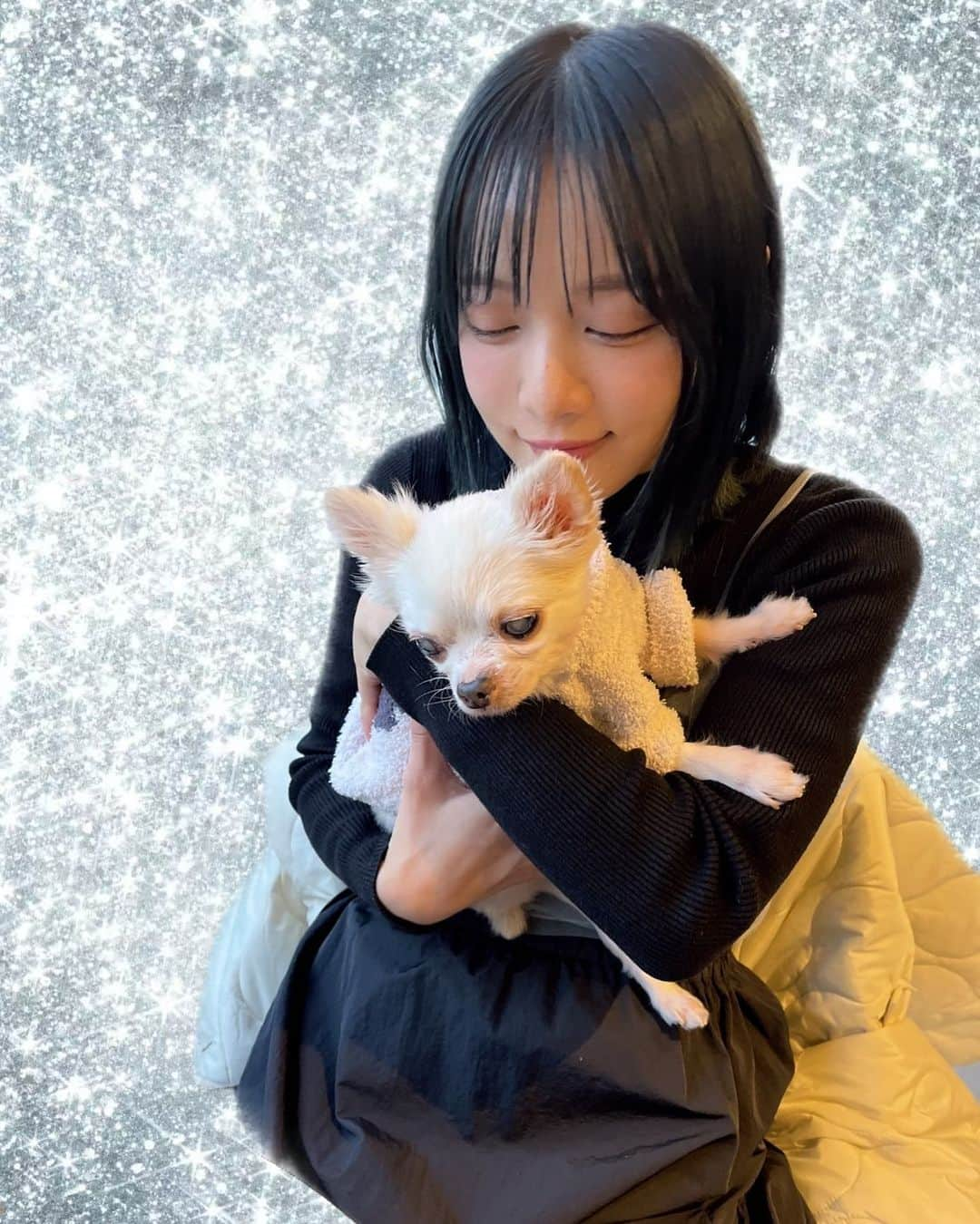 池田ショコラのインスタグラム：「お友達と、お友達のわんこ🐶と美味しい珈琲屋さんに行きました🩶ちあわせ🫶✨  インスタ更新するネタ無い('ω')(;o;)」