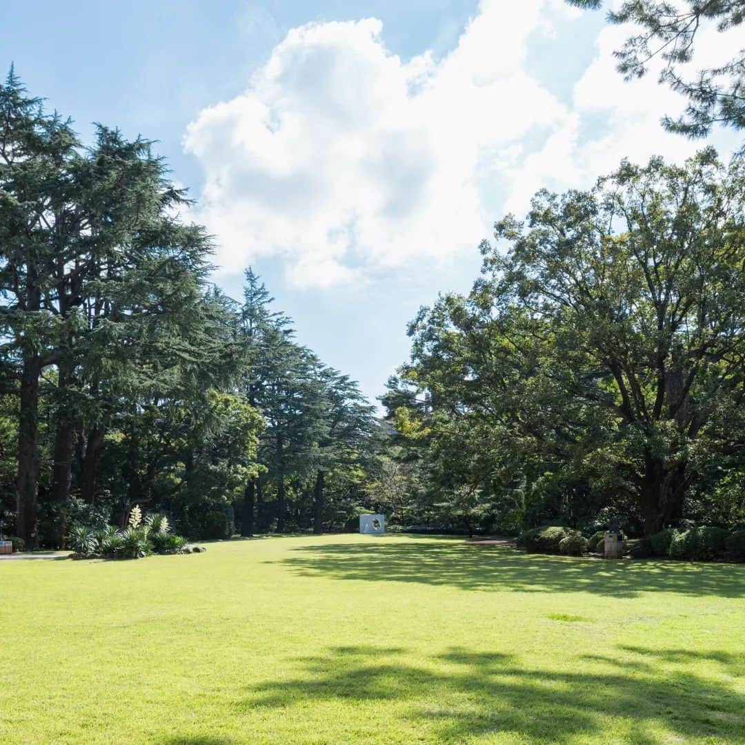 東京都庭園美術館のインスタグラム：「＼📣本日最終日 #装飾の庭展⛲／ 樹齢400年を超えるムクノキ🌲  広々とした芝庭に植えられている大きなムクノキは、朝香宮邸建設当時に現在の位置に移植されたものです。高さ30メートル、総重量92トンを超える巨木の移動は一大プロジェクトでした。当時の様子は、モノクロのフィルム映像に残されており、大勢の職人たちが根本をぐるぐる巻にし、丸太を下に敷いて移動しました。現在開催中の装飾の庭展では、珍しい地鎮祭の映像と共に上映しています。  #東京都庭園美術館 #装飾の庭展 #装飾の庭 #朝香宮邸 #アールデコ #庭園 #装飾 #デザイン #建築 #展覧会 #東京 #tokyometropolitanteienartmuseum #teienartmuseum #ArtDecoGarden #artdeco #garden #design #exhibition #tokyo #Teien40th」