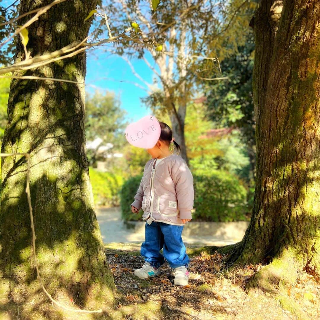 名塚佳織さんのインスタグラム写真 - (名塚佳織Instagram)「⛲️ 今日も午前中は時間できたので 公園散歩🌿  とっても心地良い天気🕊️」12月10日 12時54分 - nazuka_kaori424